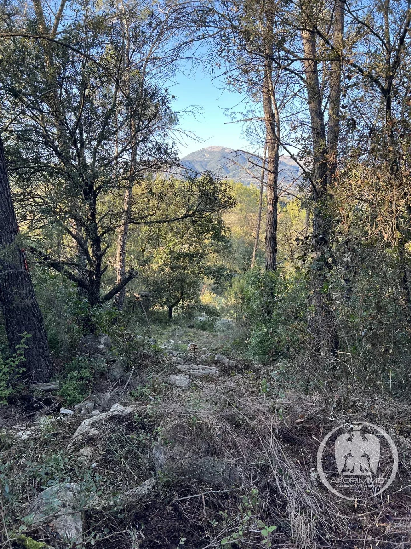 Land  - 1000.0 m2 -  €40,000 -