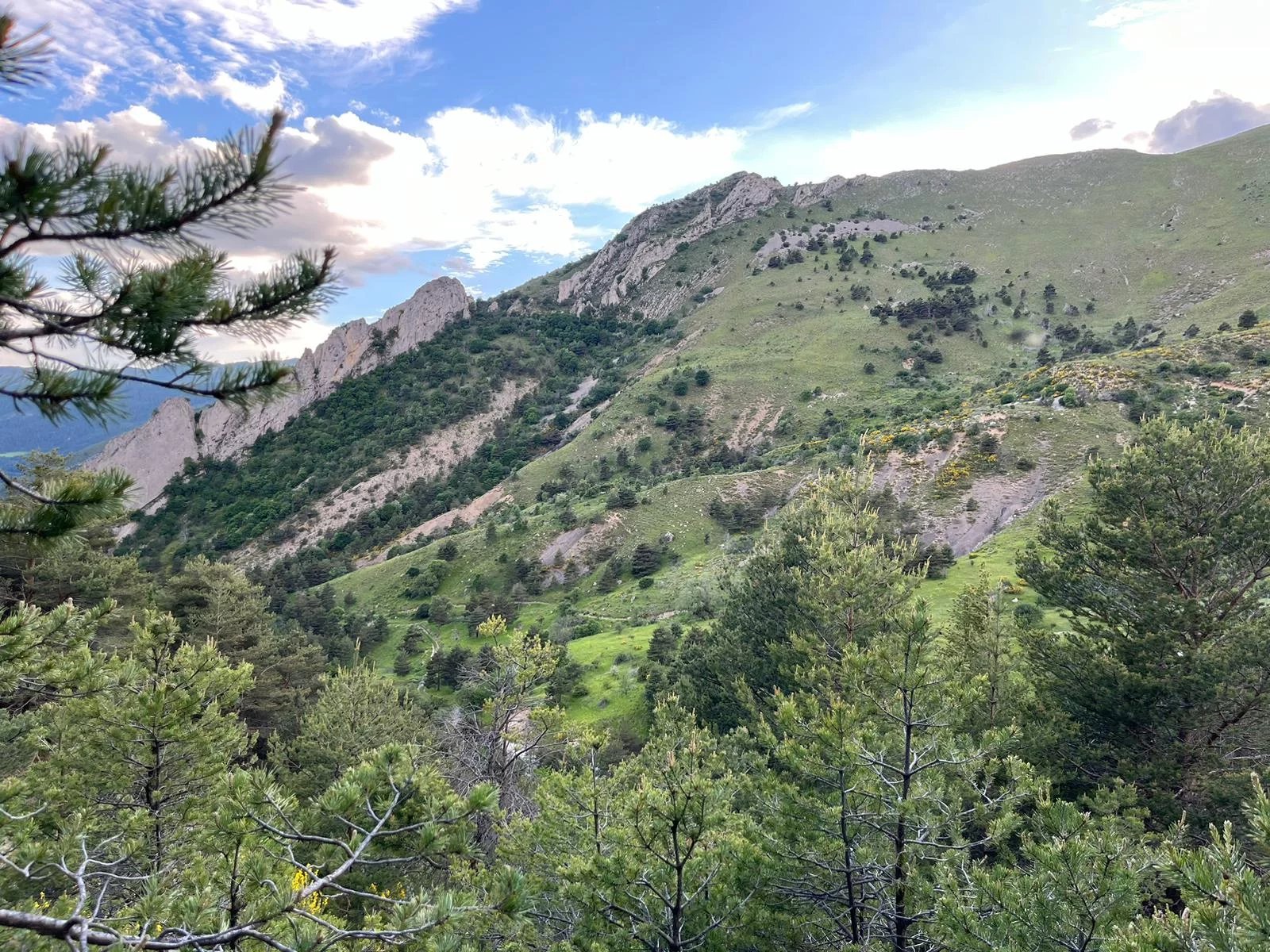 Zu verkaufen Jagdgebiet | Tartonne - picture 3