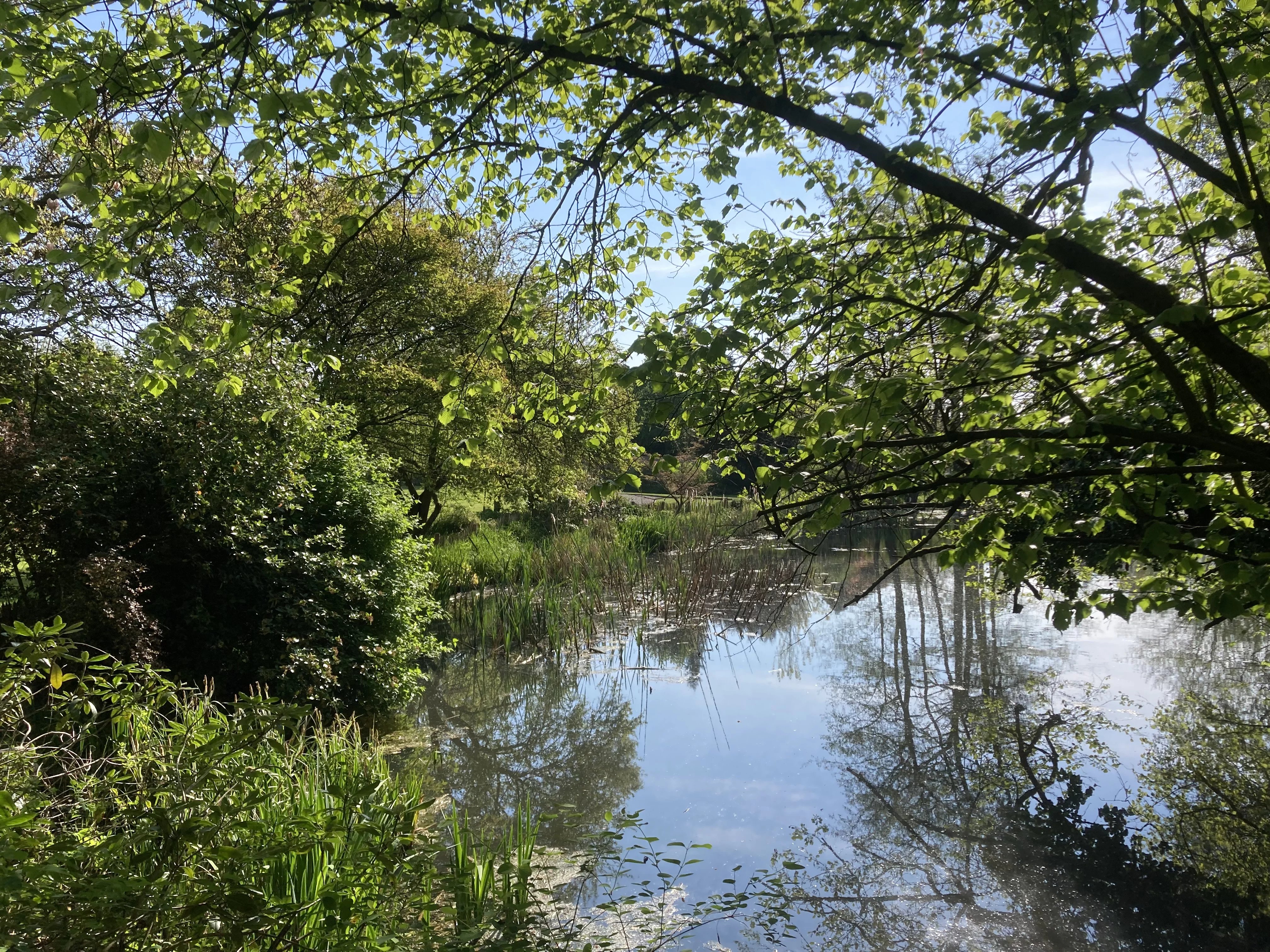 Manor in Jurbise I Elegance and historic charm