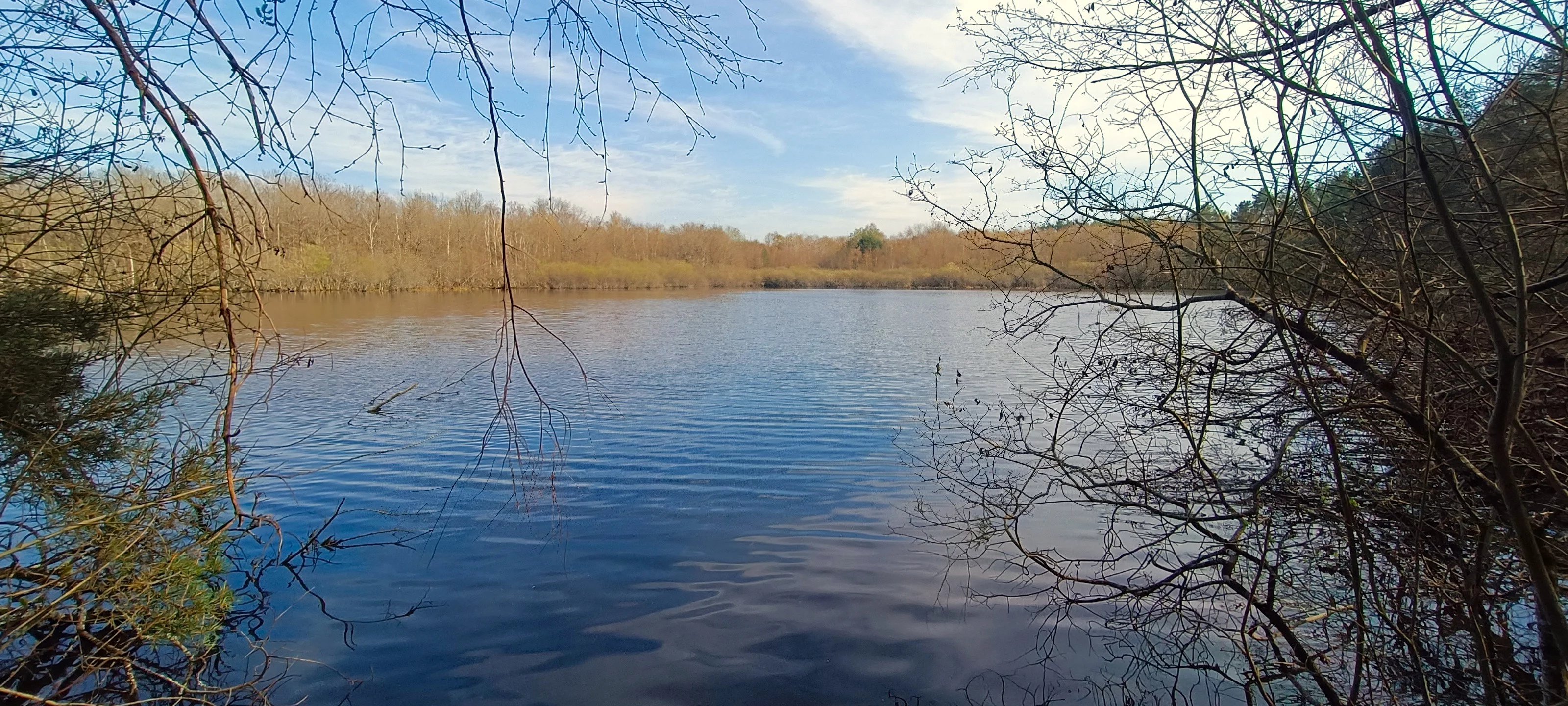 SOLOGNE - Propriété de chasse sur 173 hectares avec étangs - picture 1