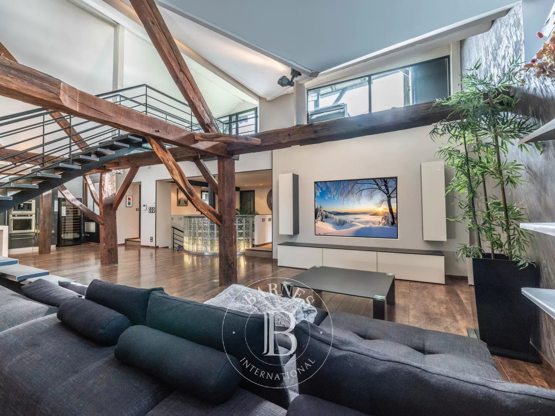 Loft Annecy - picture 8