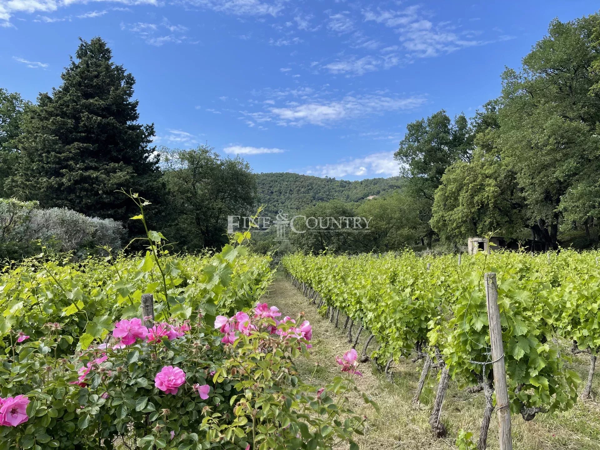 Photo of Property for sale in La Garde Freinet with vineyard