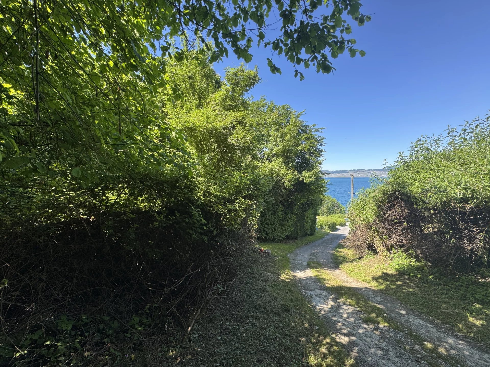 TERRAIN 1 130 M² - Meillerie
