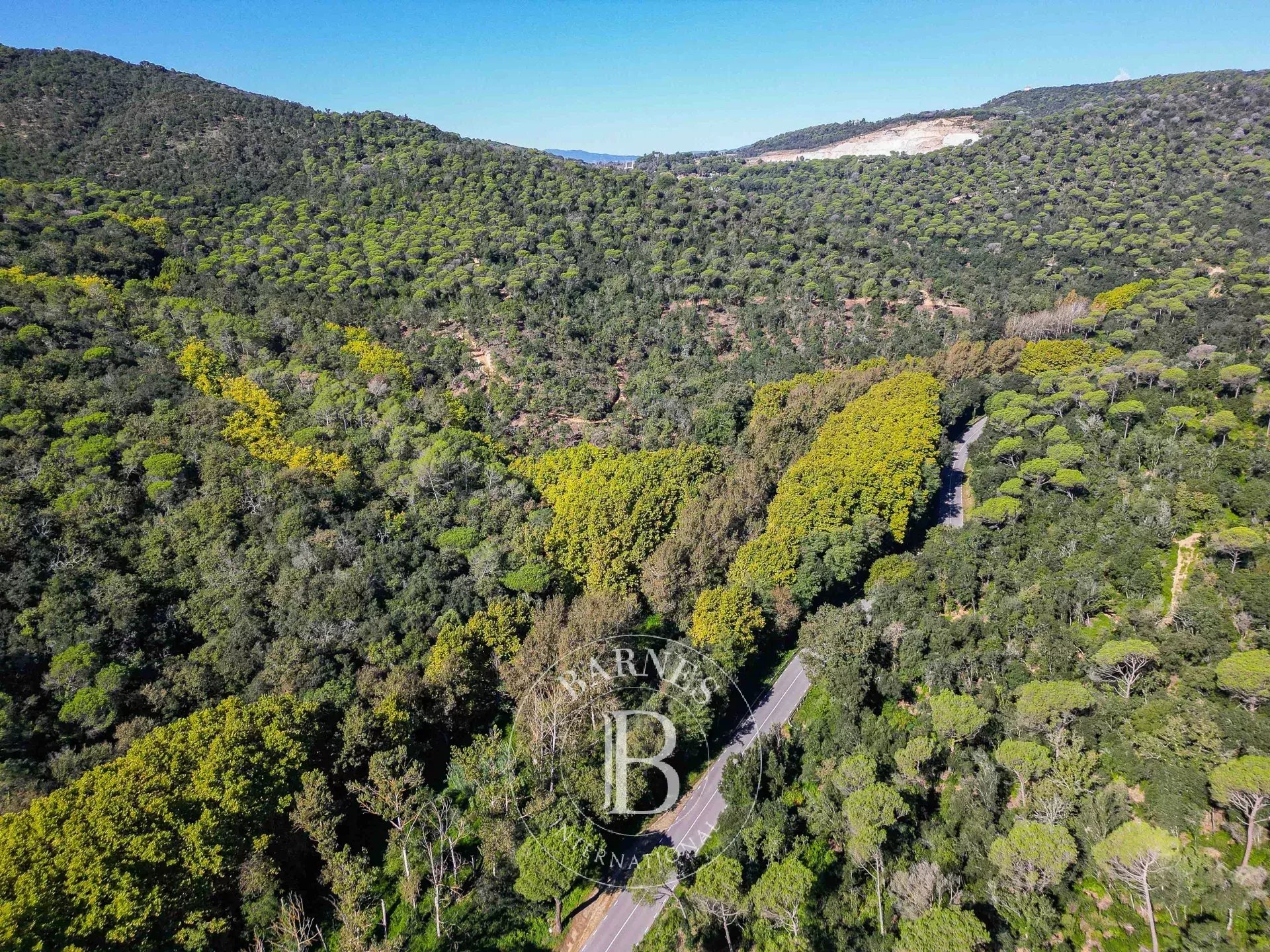 Arazi Dosríus - picture 13