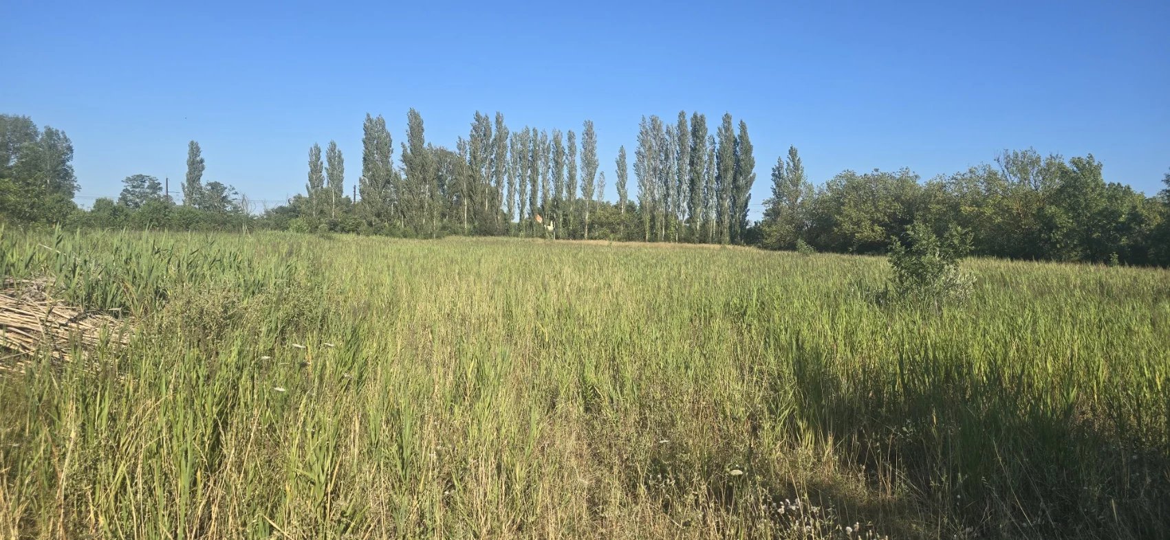 ***TERRAIN  AGRICOLE CONSTRUCTIBLE****
