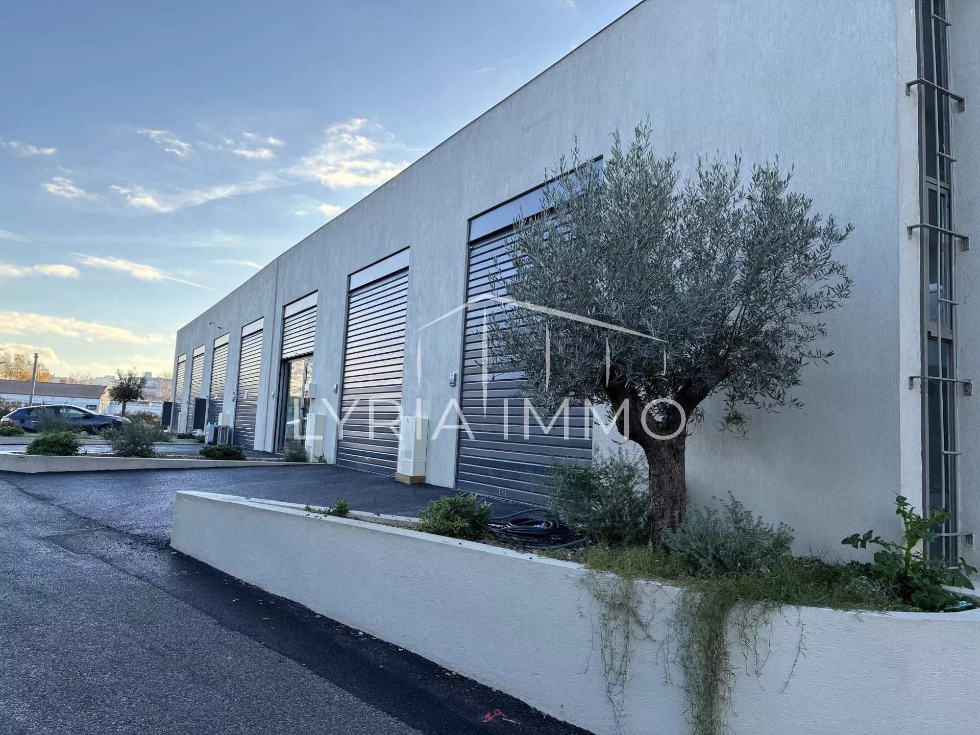 Agence immobilière de 