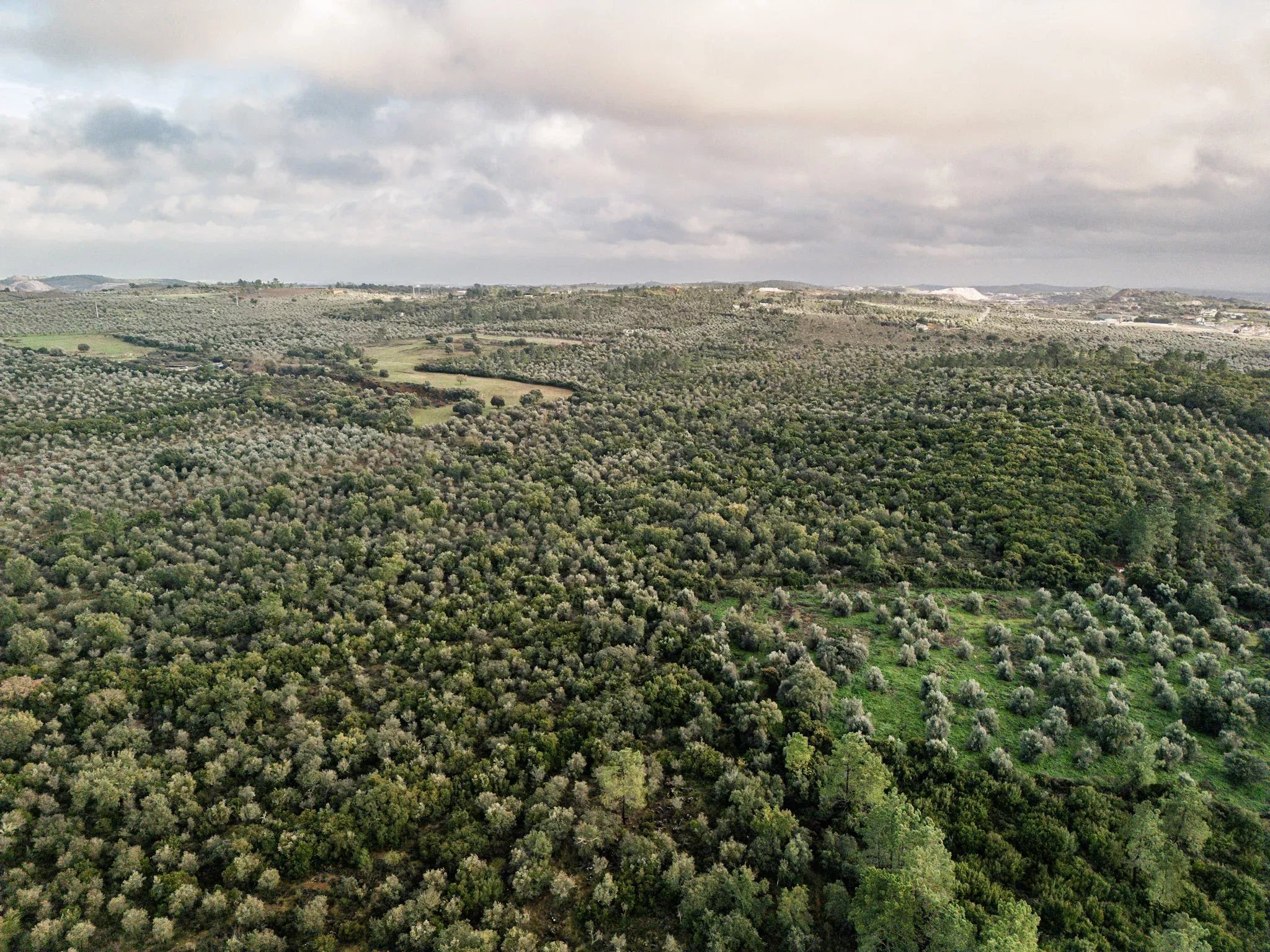 Where Africa meets Alentejo: 5.54ha approved for 200-bed eco resort, next to Europe's only elephant sanctuary 7150-099 image 11