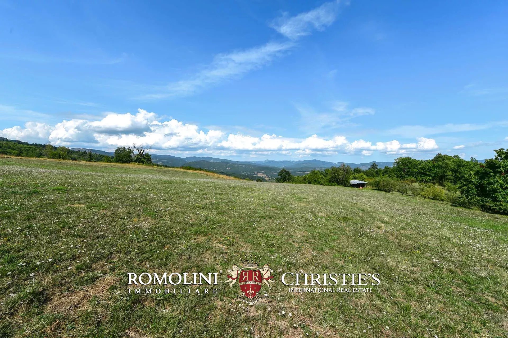 ORGANIC FARM, ESTATE FOR SALE TUSCANY