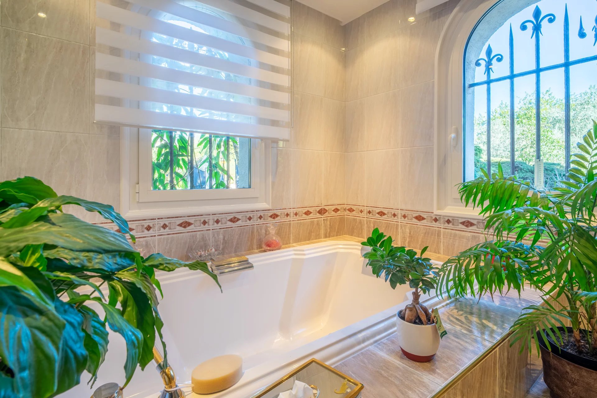 property_image