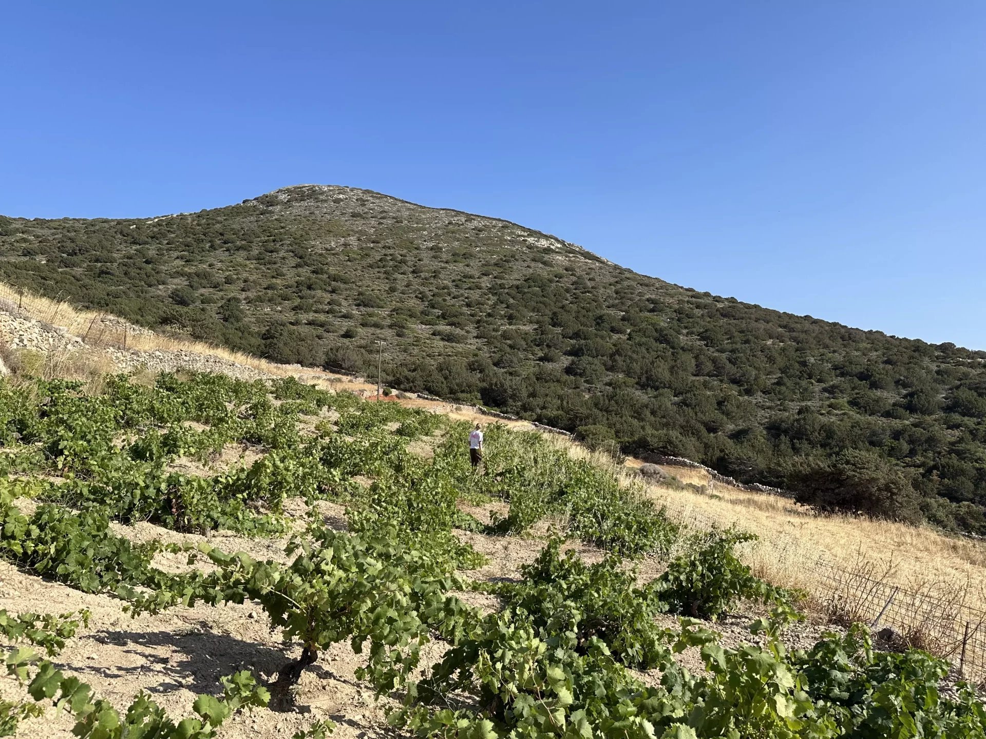 Image de la propriété 4