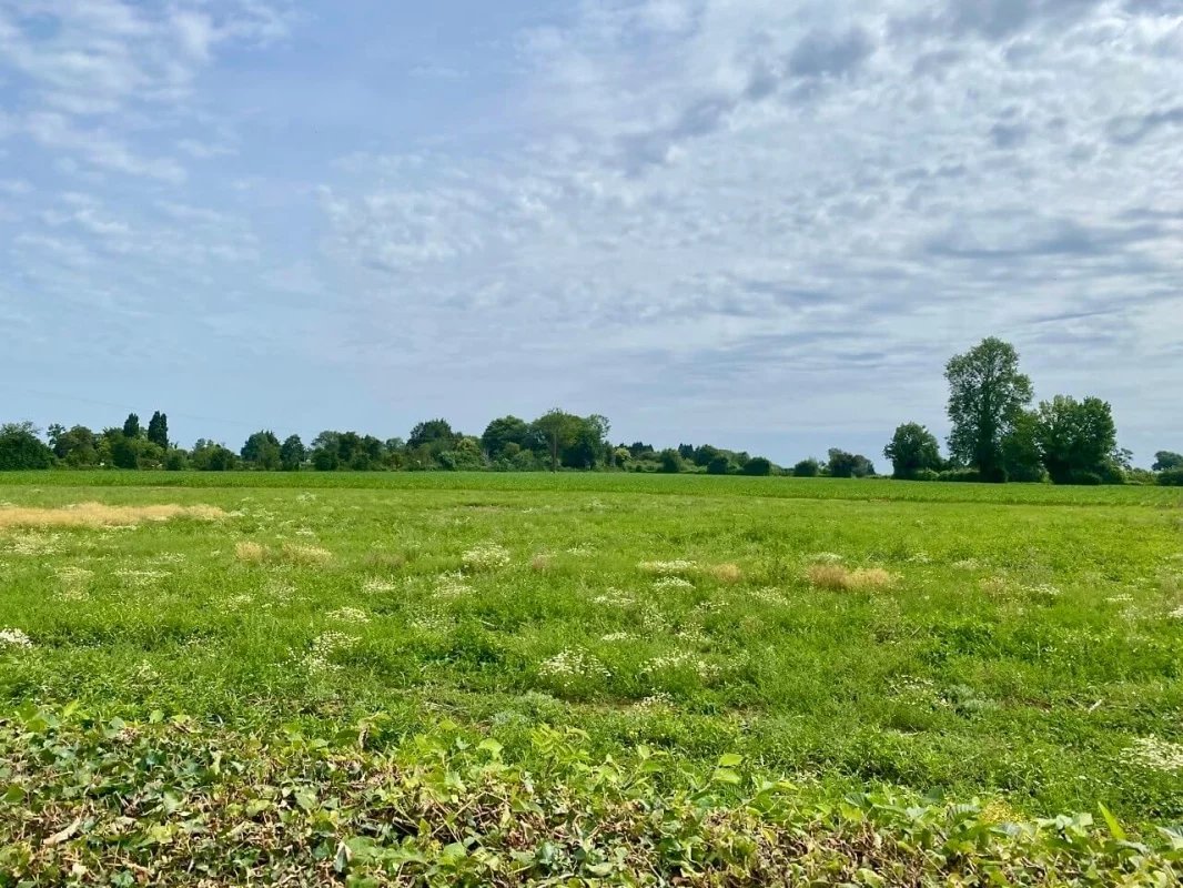 Vente Terrain constructible Pont-l'Évêque