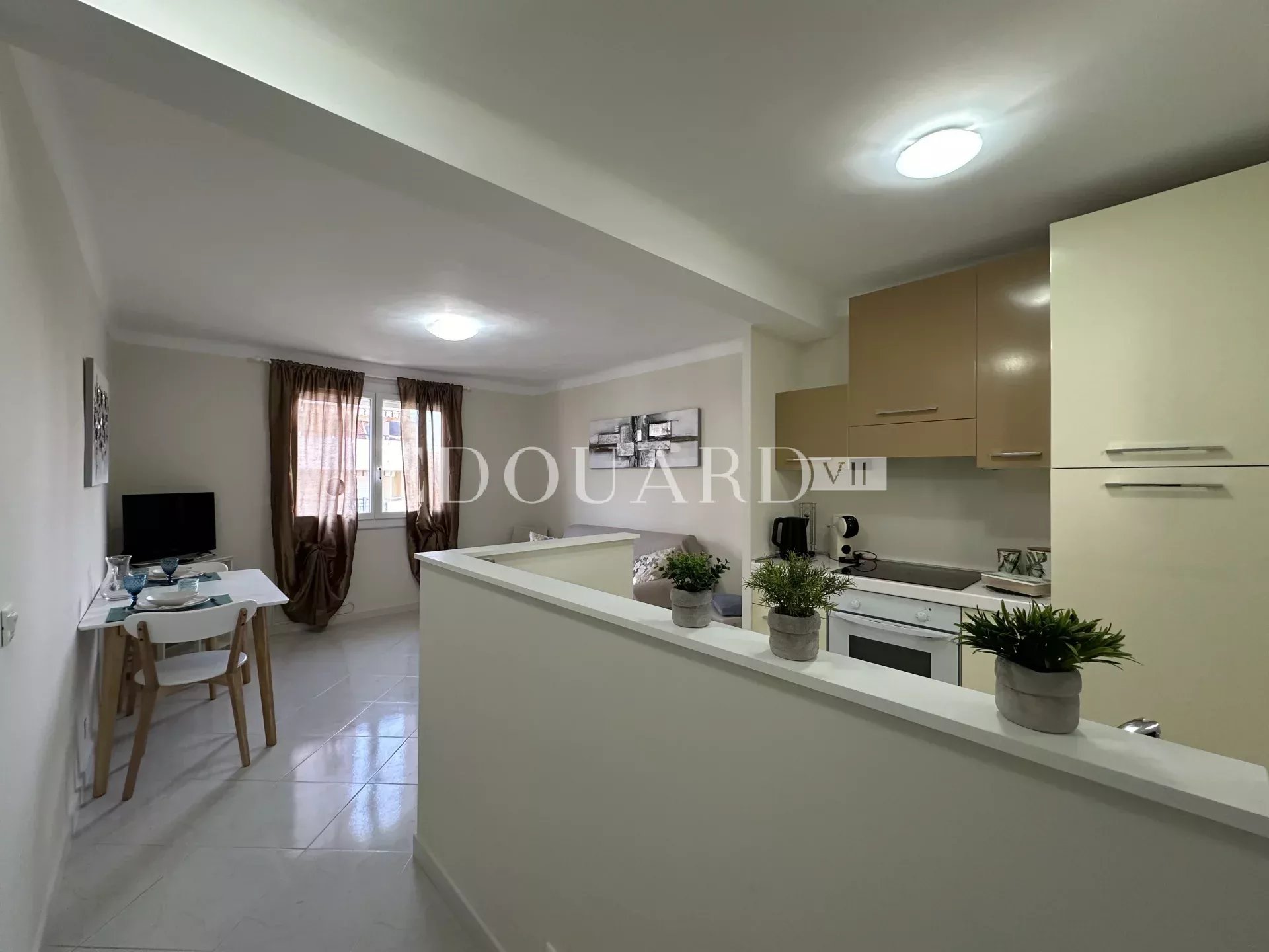 Rental Apartment Menton