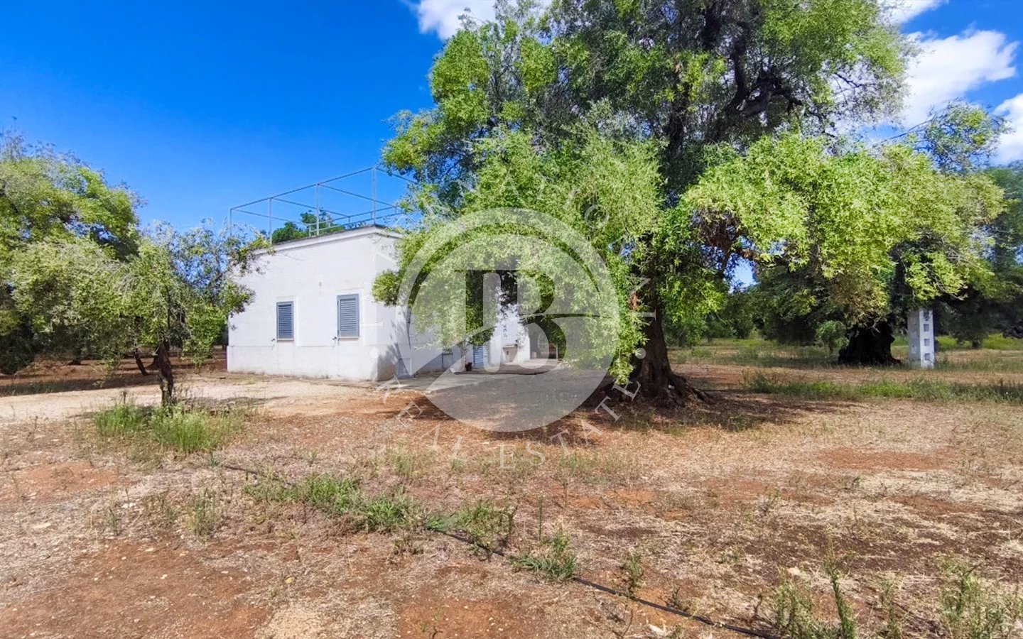 Villa in Fasano - view 1