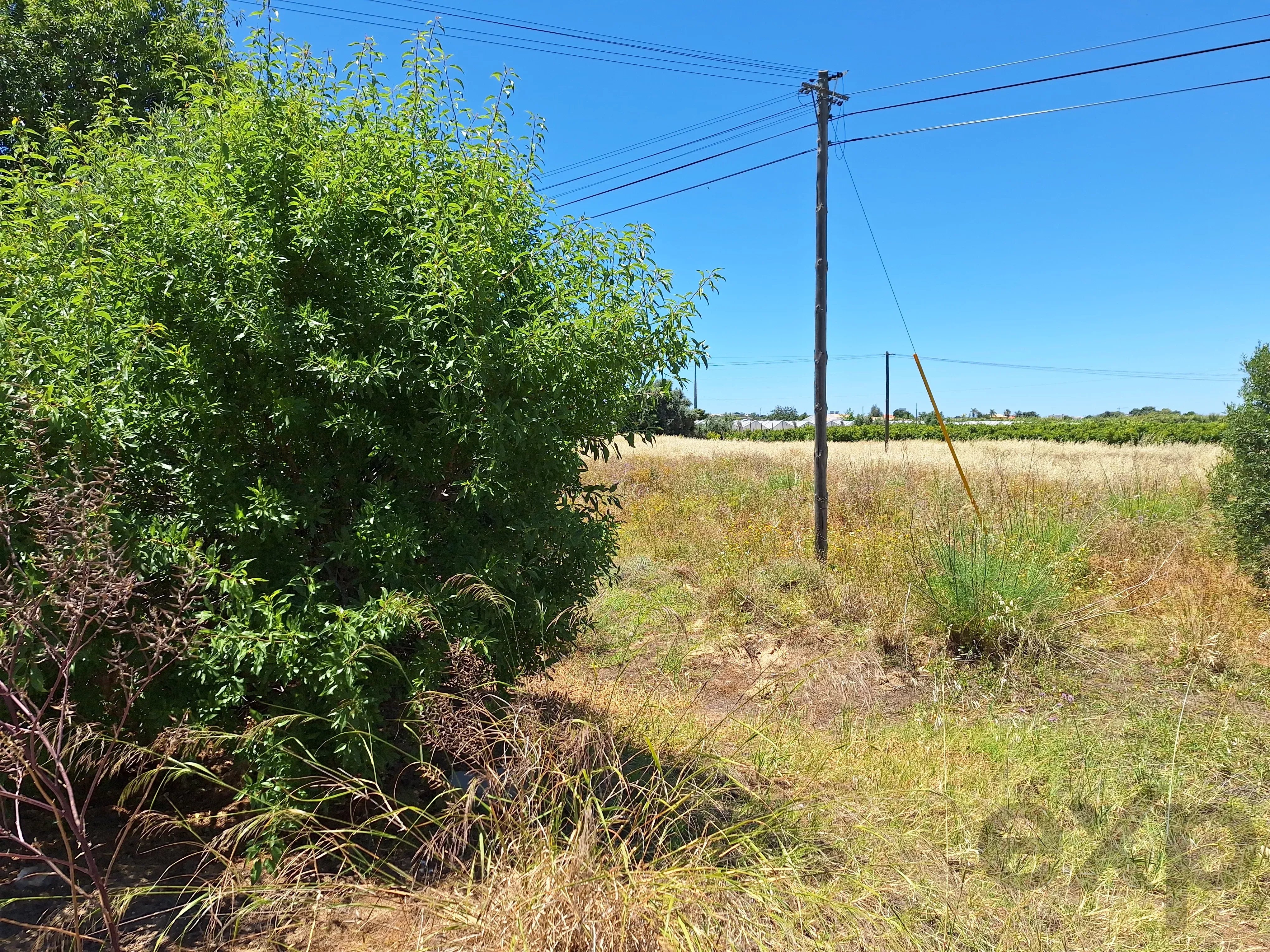 Rustic Land in Mar e Guerra 87032942 image 7