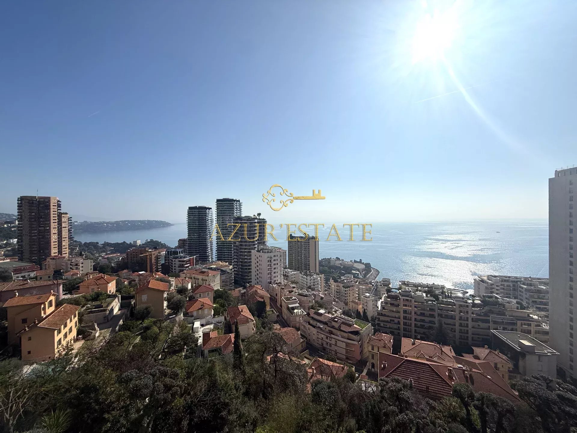 Agence immobilière de Sas Azur'Estate