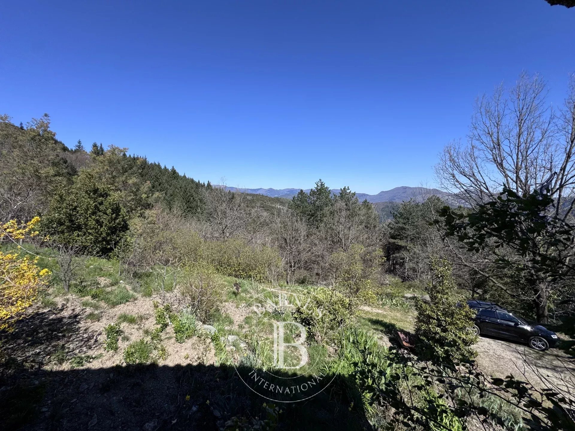 Mas Saint-Julien-de-la-Nef  -  ref 86889657 (picture 2)