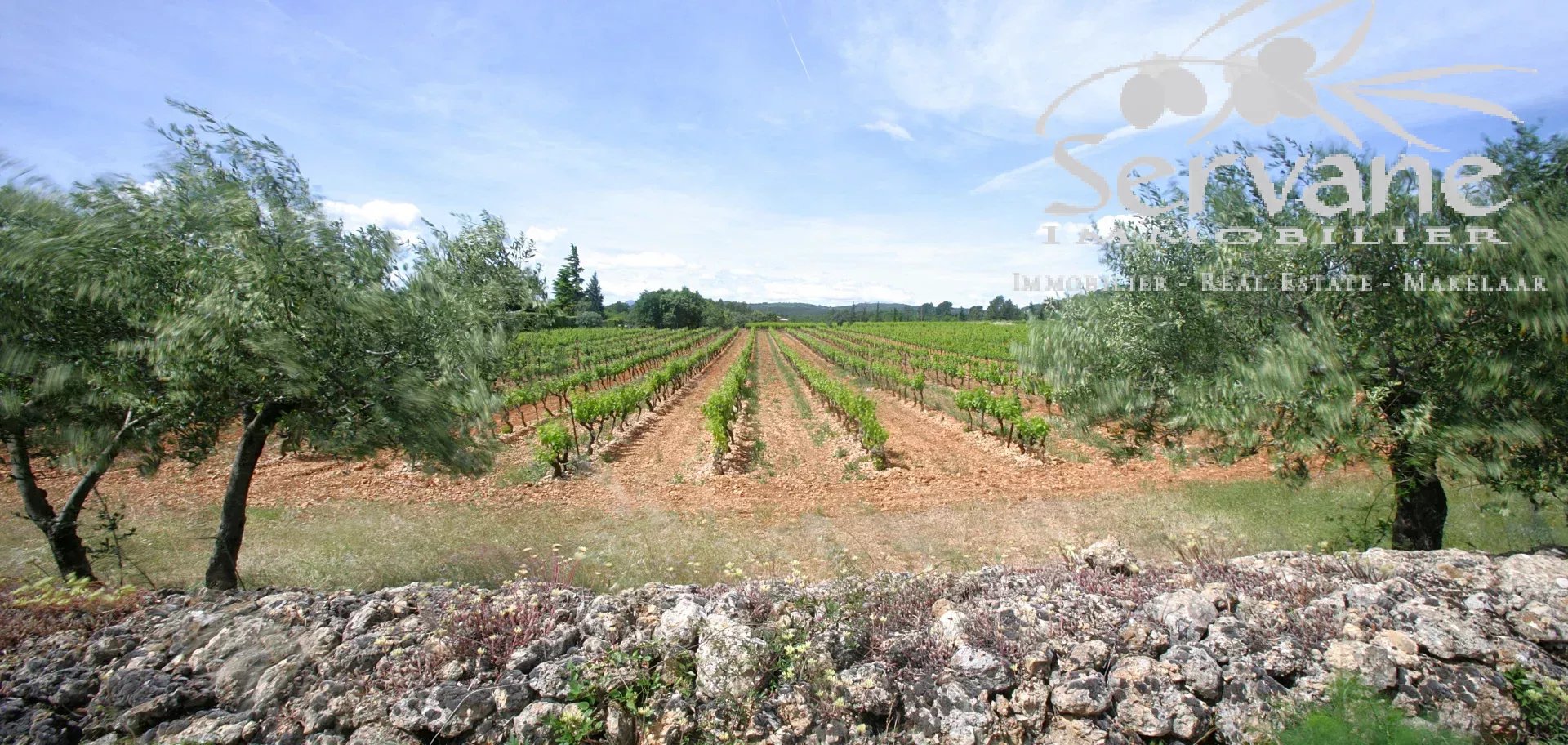 VINES PROPERTY FOR SALE IN COTIGNAC