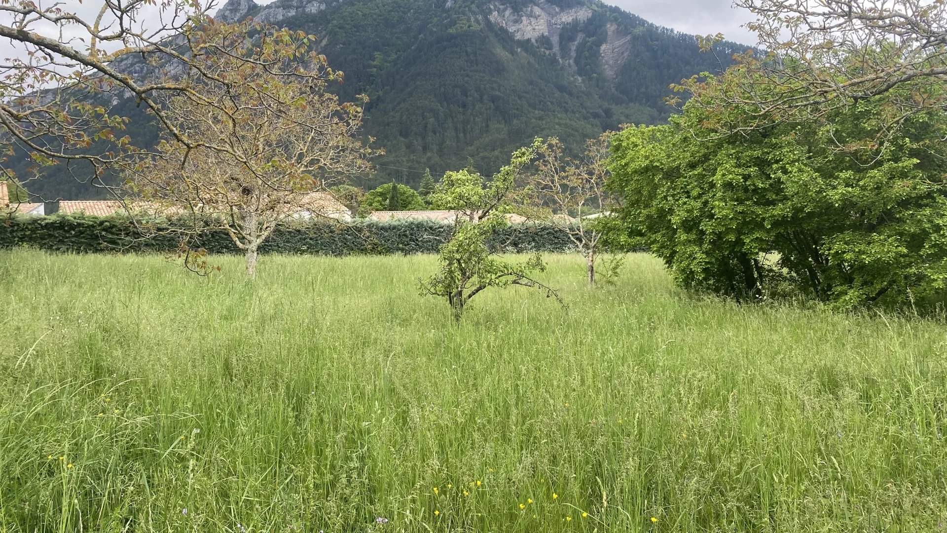 Vente Terrain constructible Luc-en-Diois