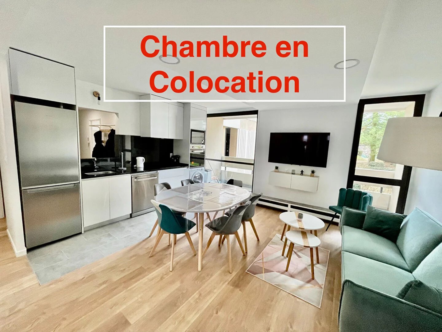 Colocation Appartement Elancourt  1 pièce 30  m2
