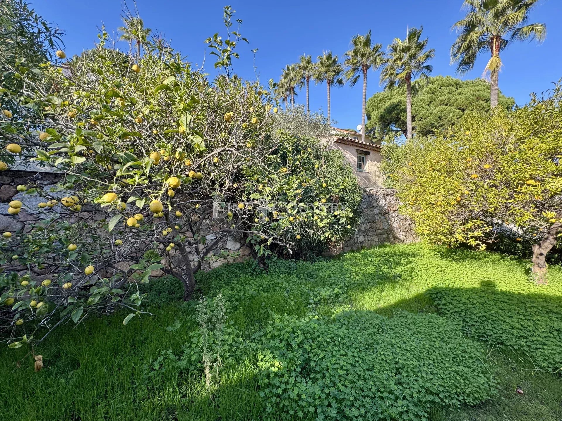 Photo of Villa for sale near Super Cannes peaceful environment and panoramic sea views