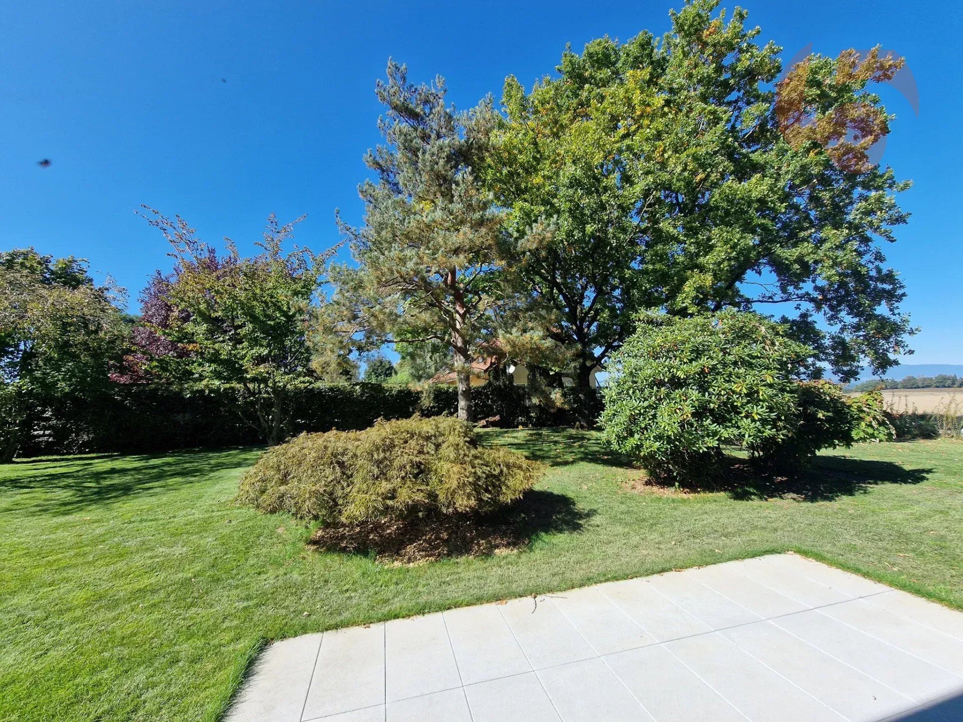 Agence immobilière de Référence 5 Immobilier SA