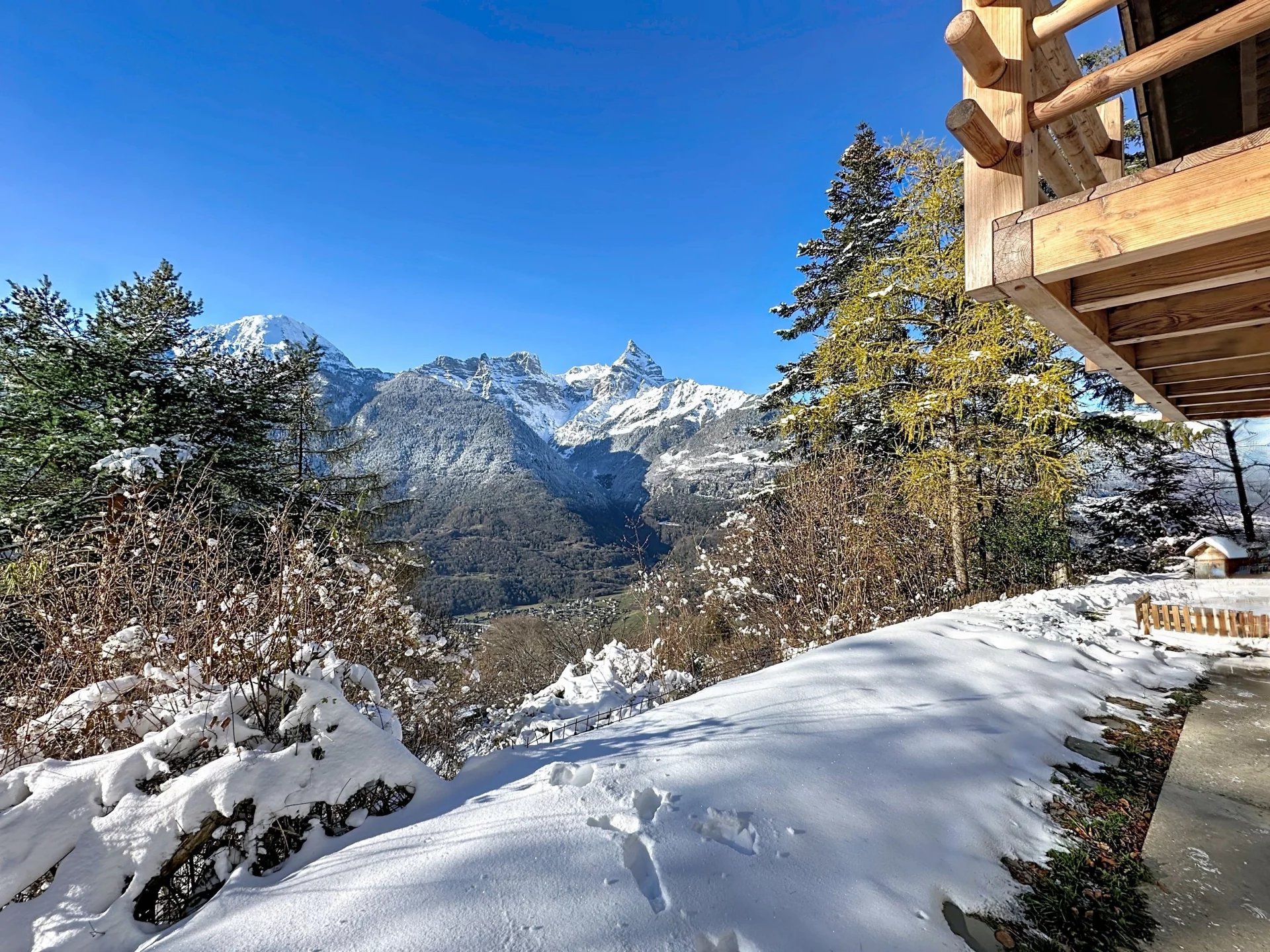 Vue panoramique sur le Mont-Blanc et la Cime de l'Est