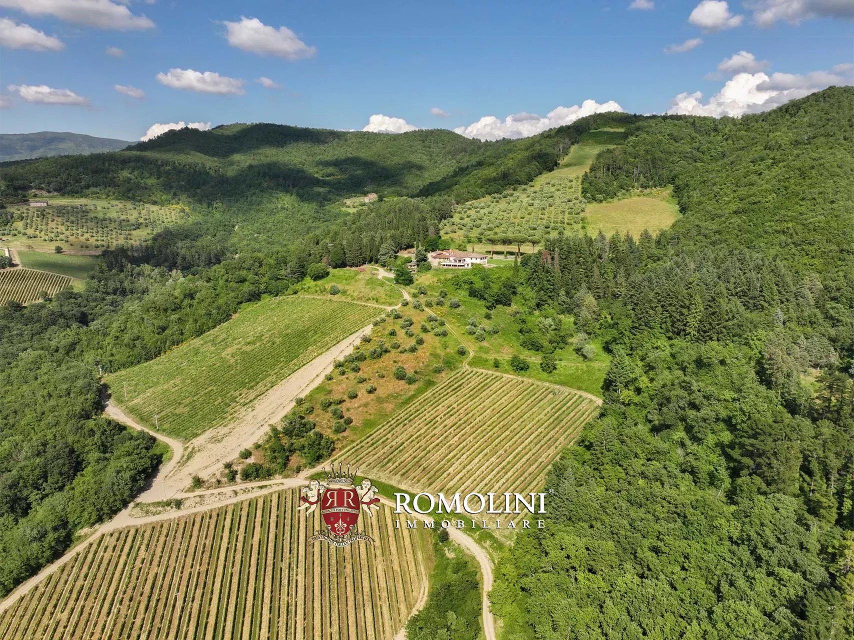14 Bedroom Vineyard's Image 9