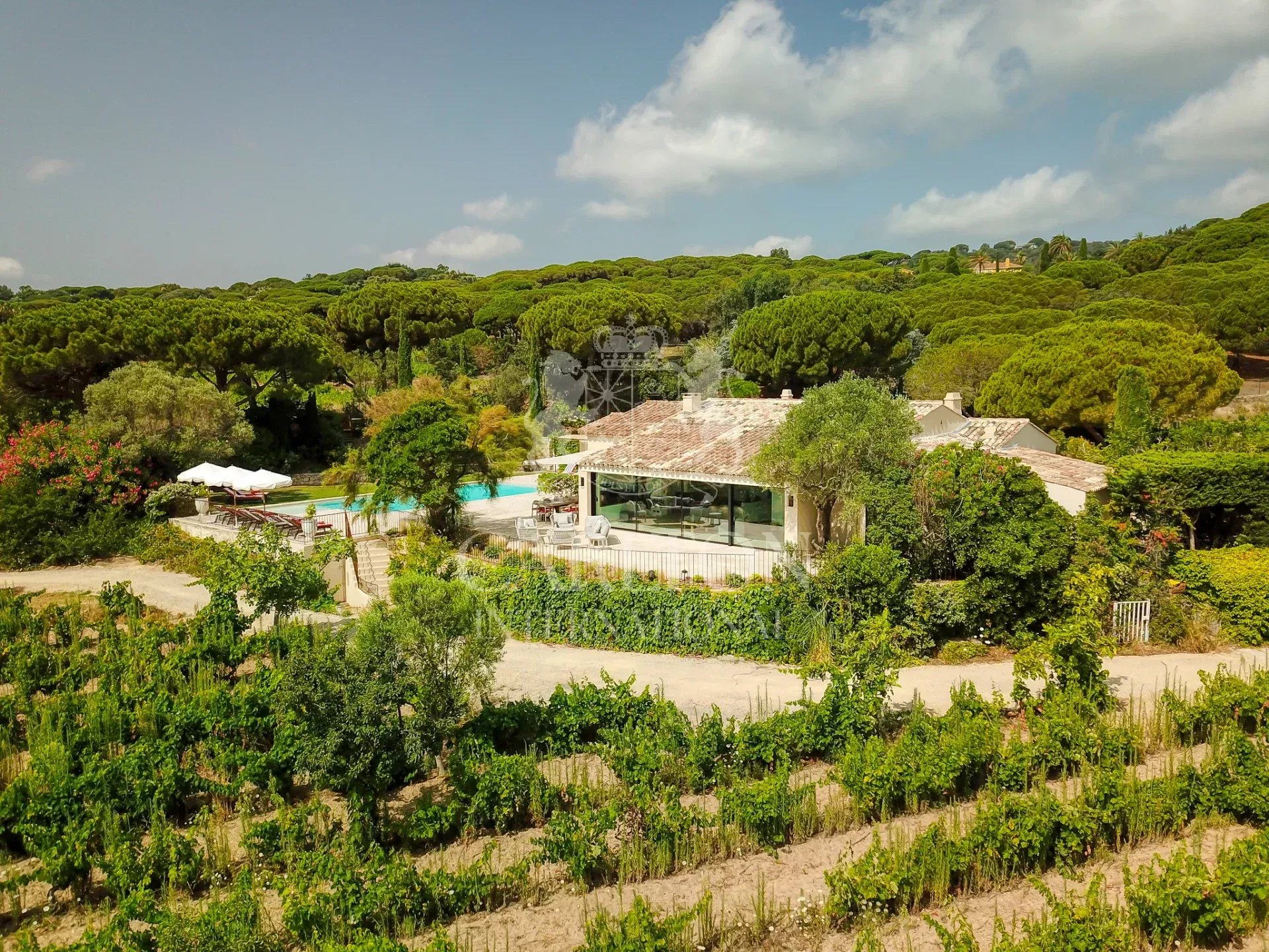 Un écrin de verdure