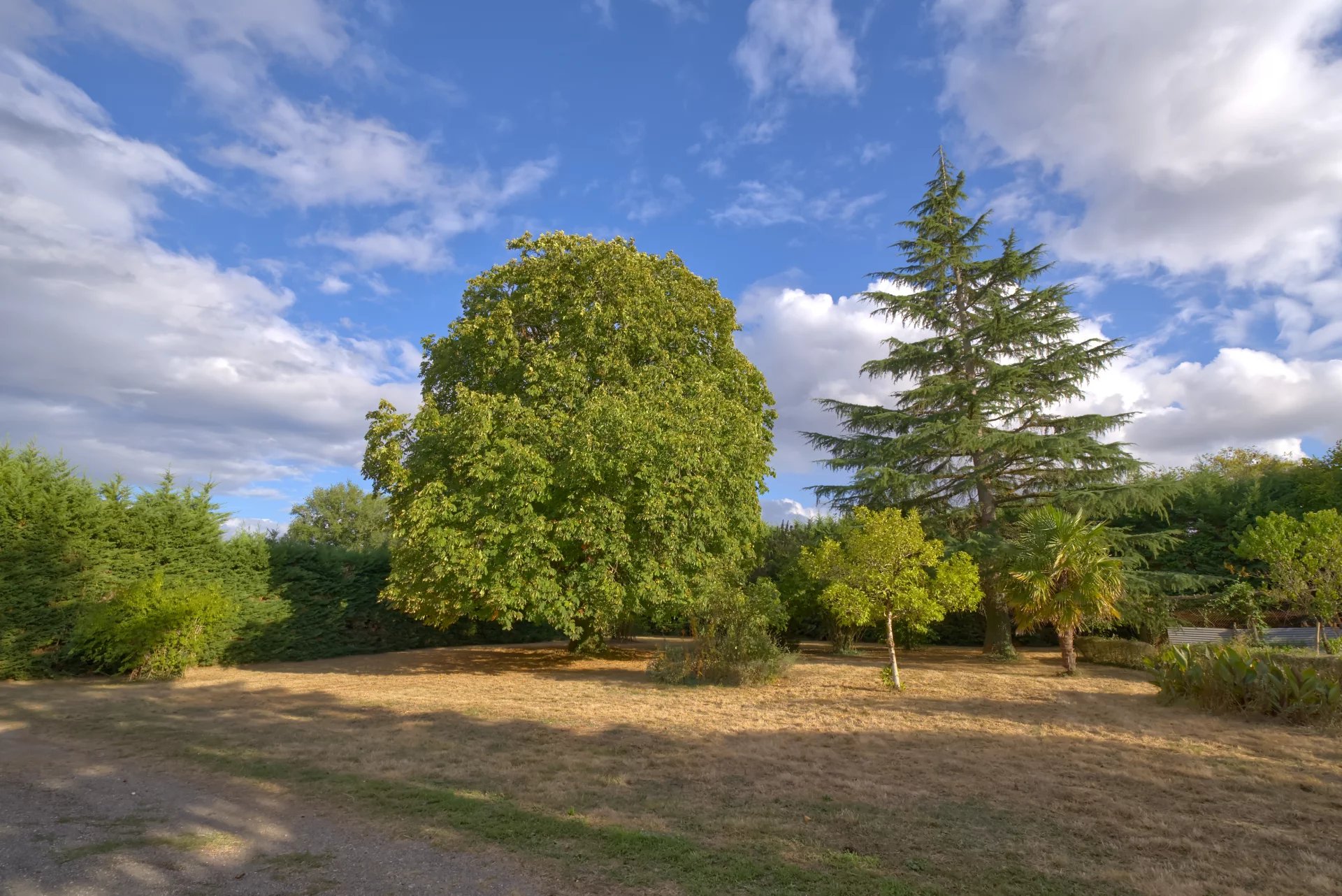 House in Villefagnan - Image 2