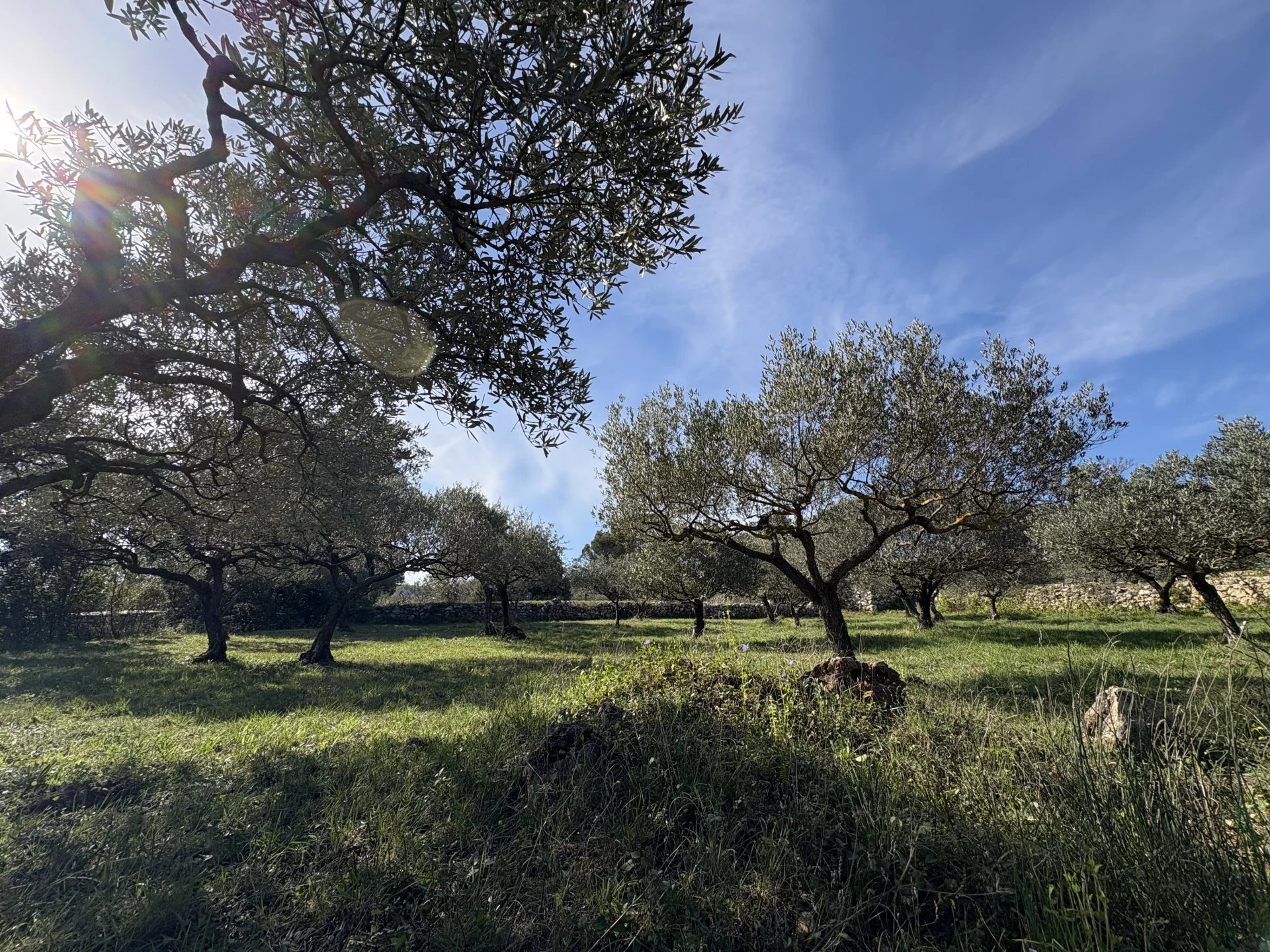 Sale Building land Cotignac