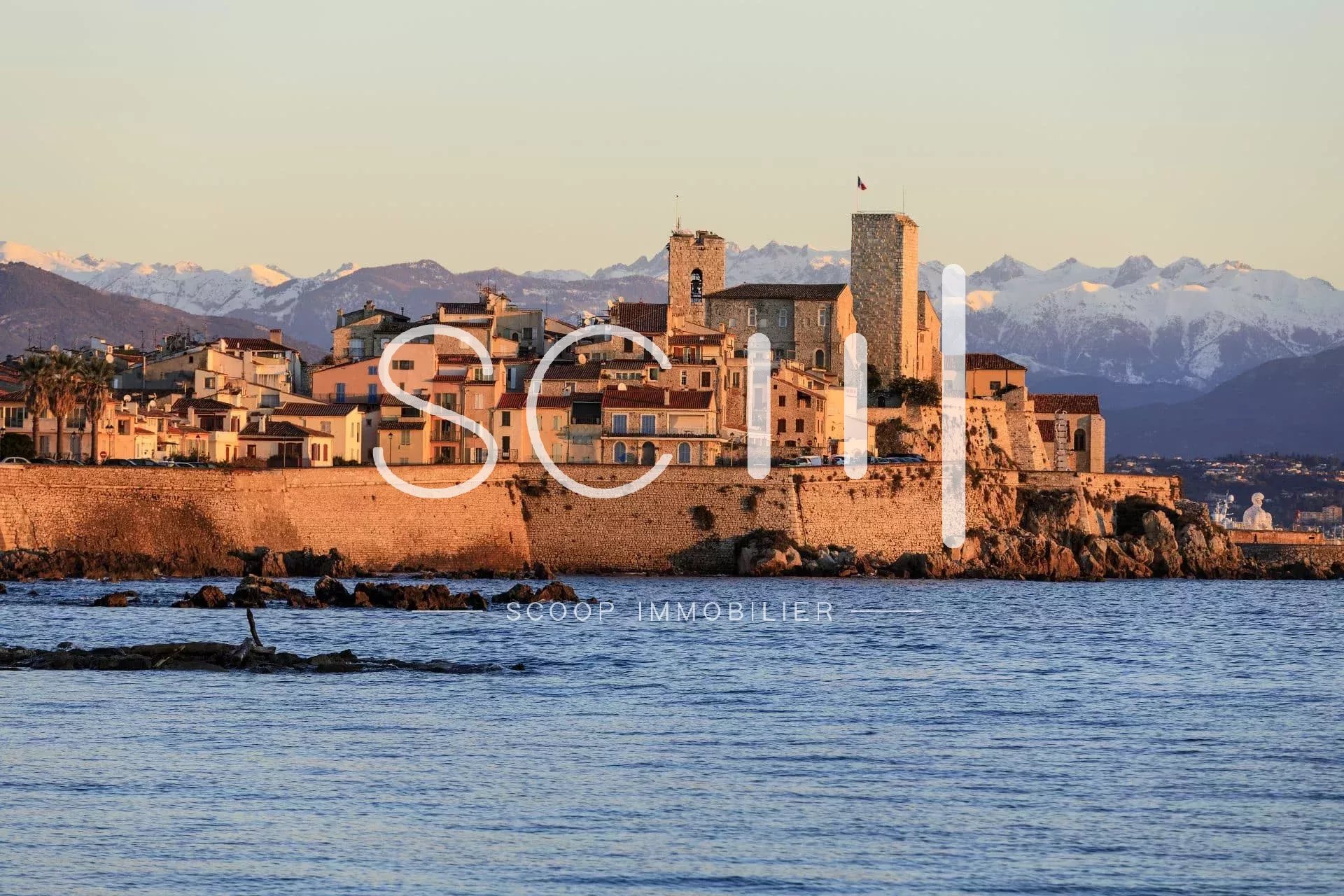 Agence immobilière de 