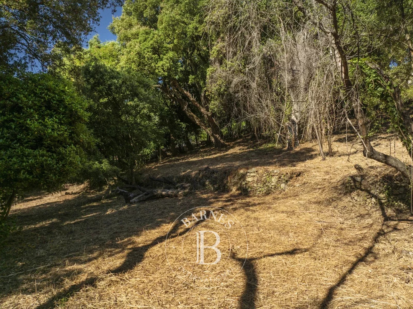 Bastia  - Terrain constructible  - picture 6