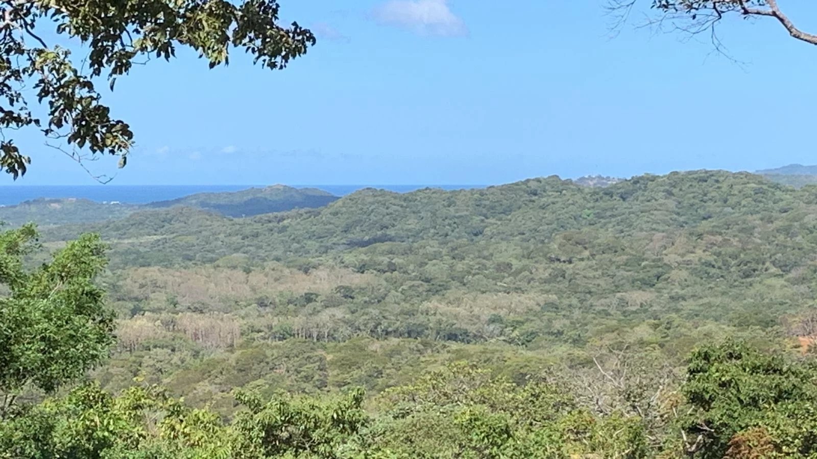 Sale Plot of land Tamarindo Cañafístula