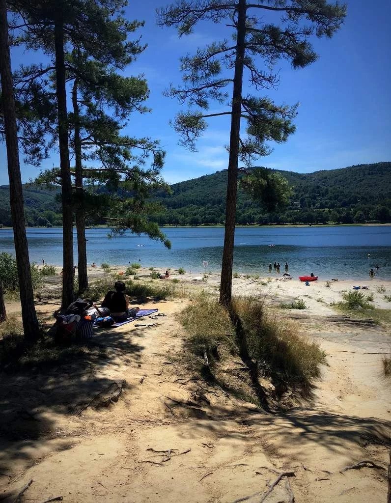 Vente Appartement Revel