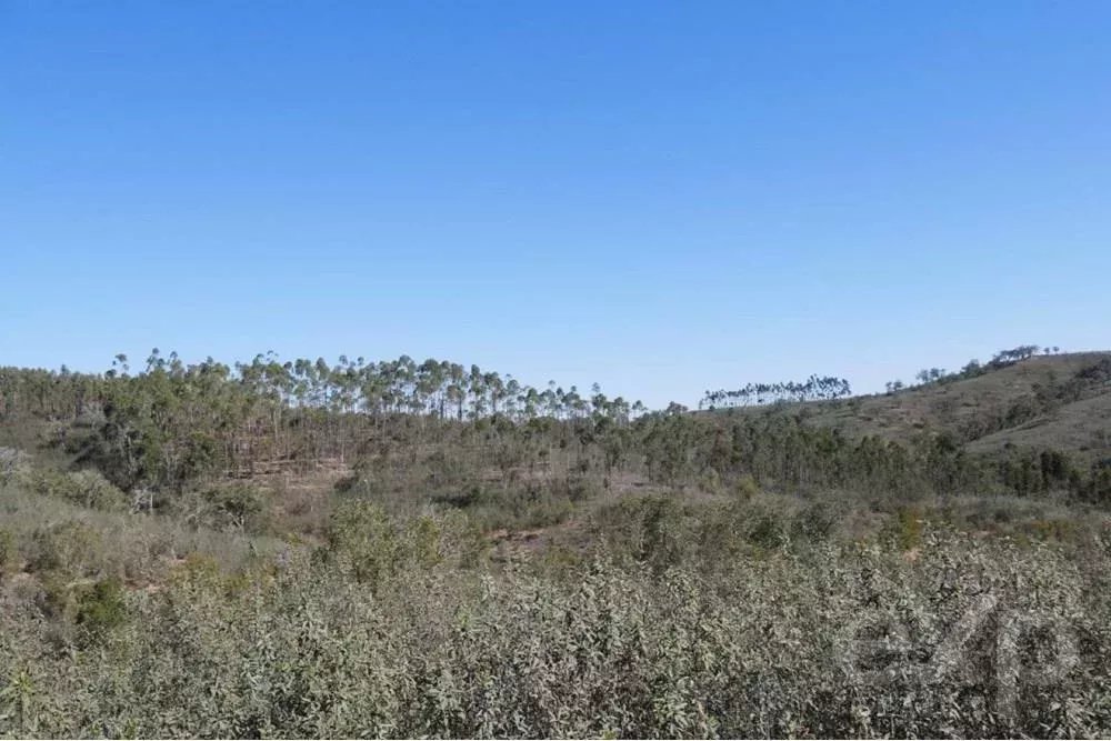 Exceptional 65-Hectare Estate in Alentejo with Tourism Development Potential 85506160 image 42