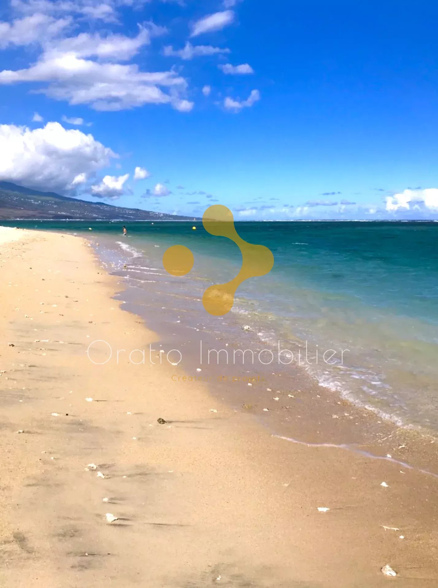 Agence immobilière de 