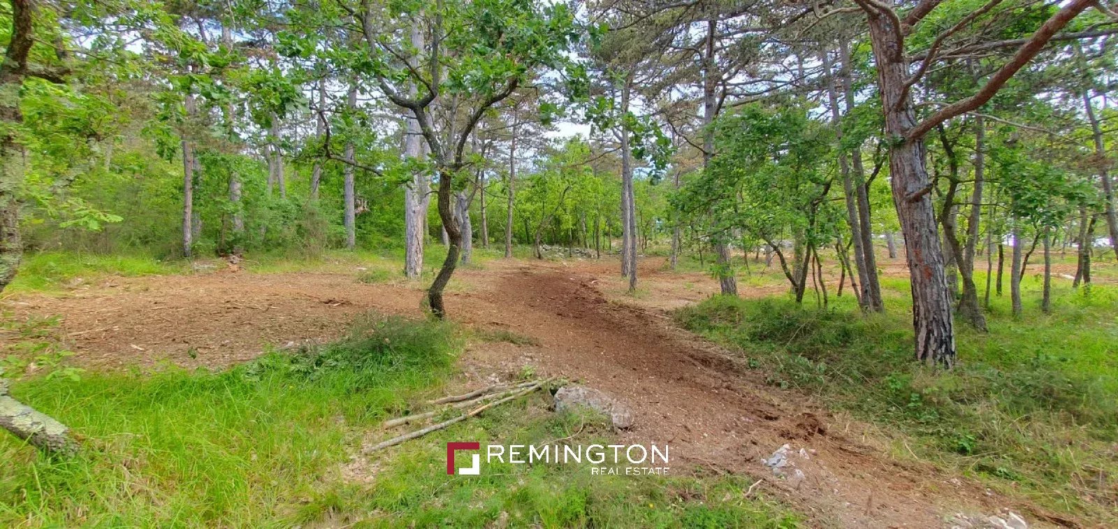 Land/Vacant Land's Image 7