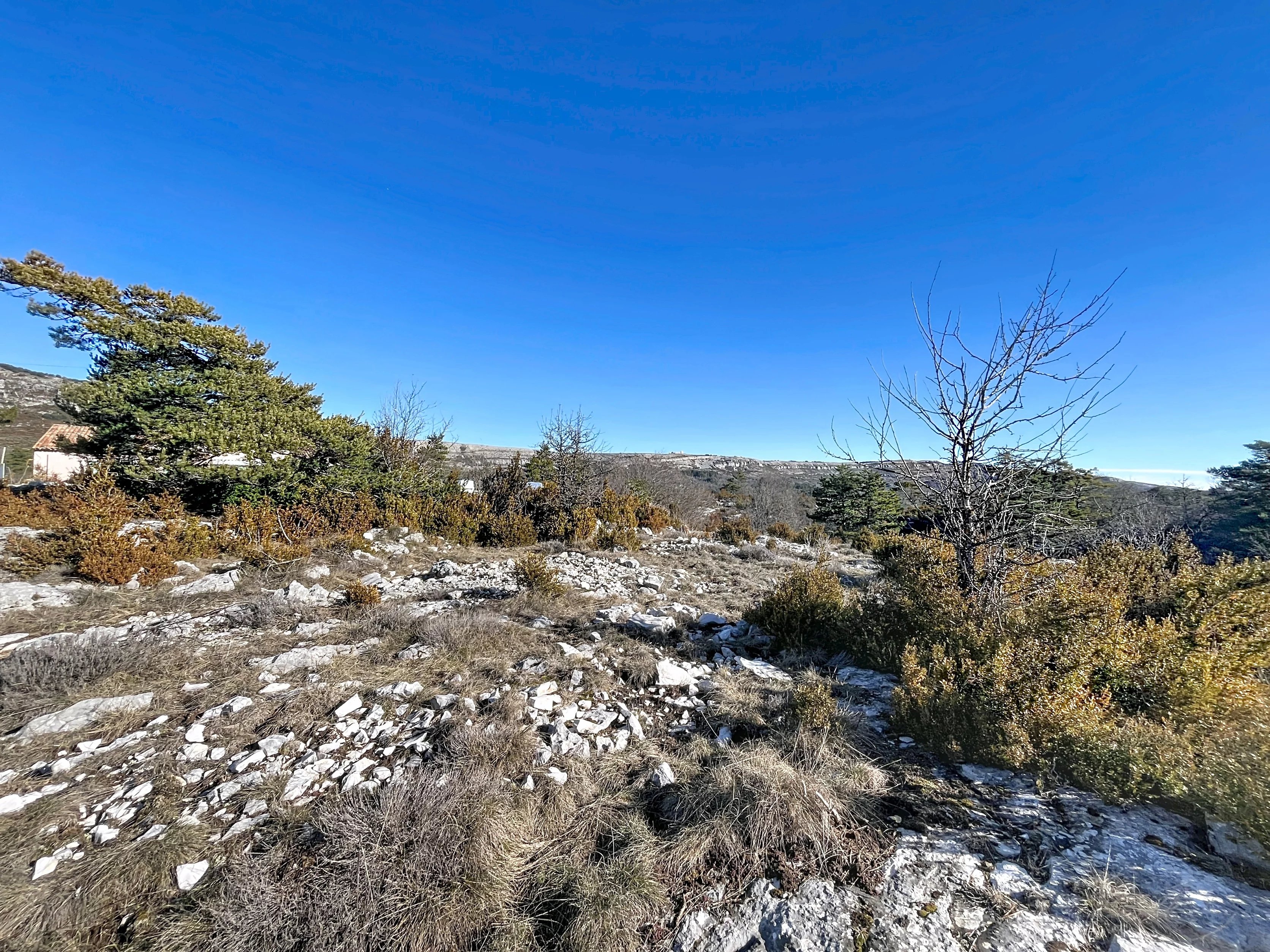 Agence immobilière de Nat'Immo