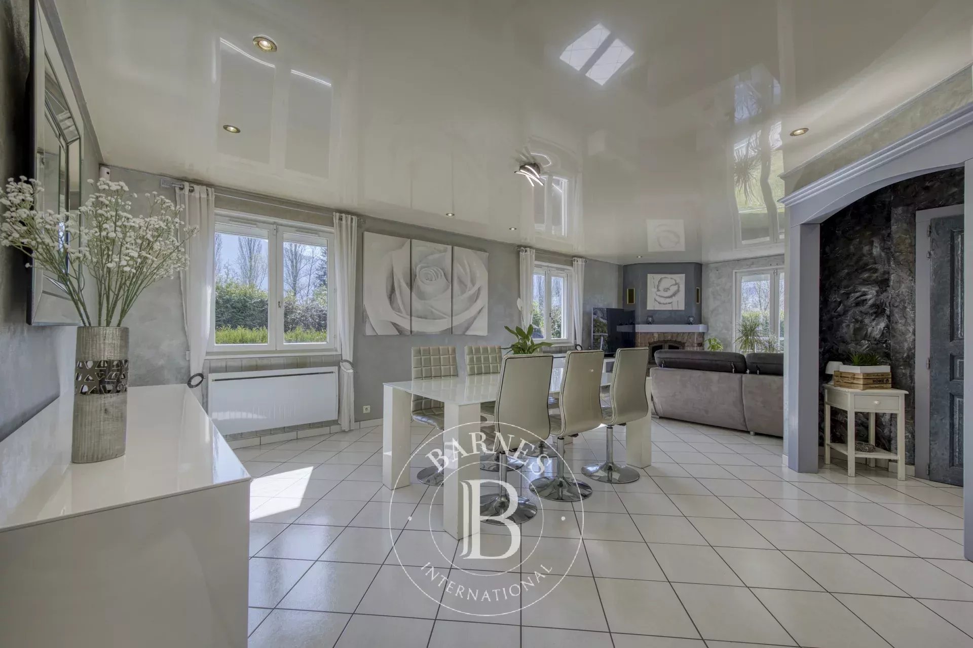 Ev Amancy - picture 7