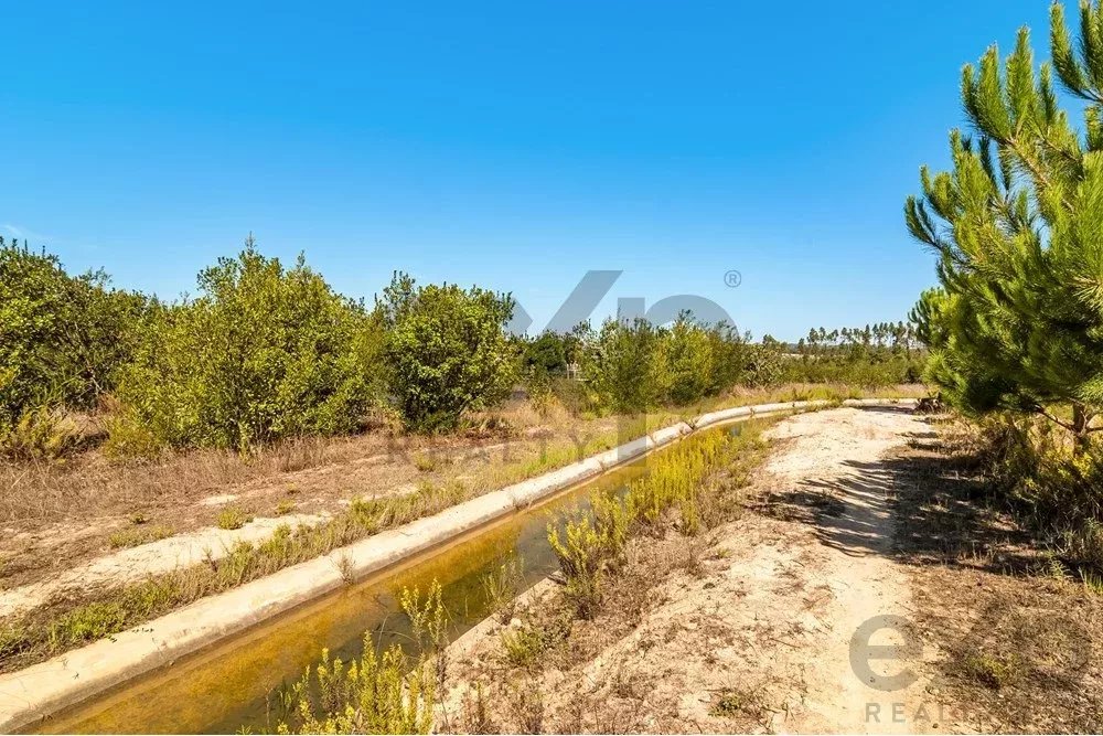 Unmissable Investment in Odemira 85507464 image 7