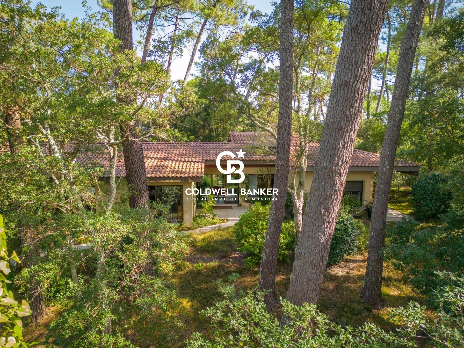 Agence immobilière de Coldwell Banker Surfin Realty