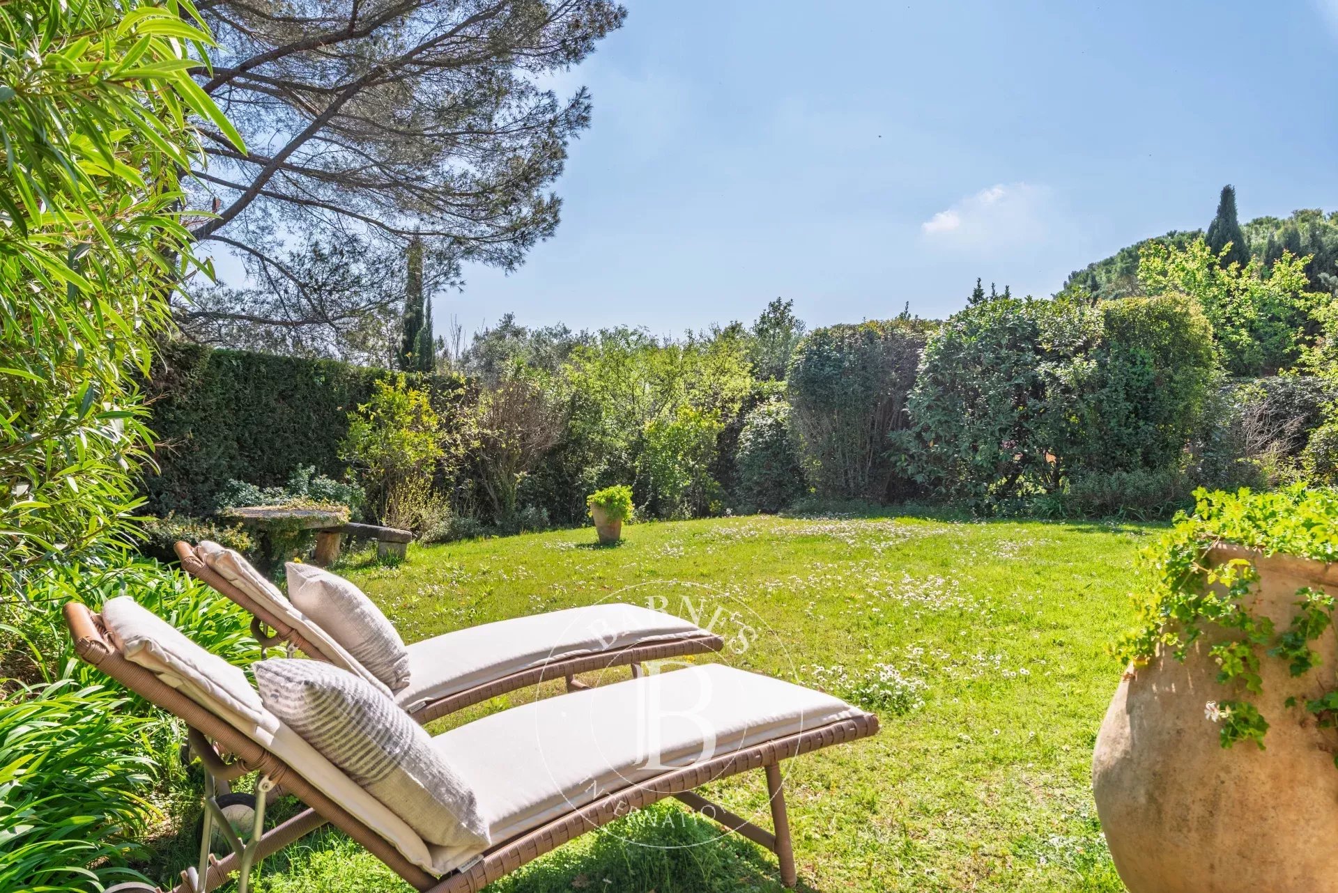 Ev Mouans-Sartoux - picture 20