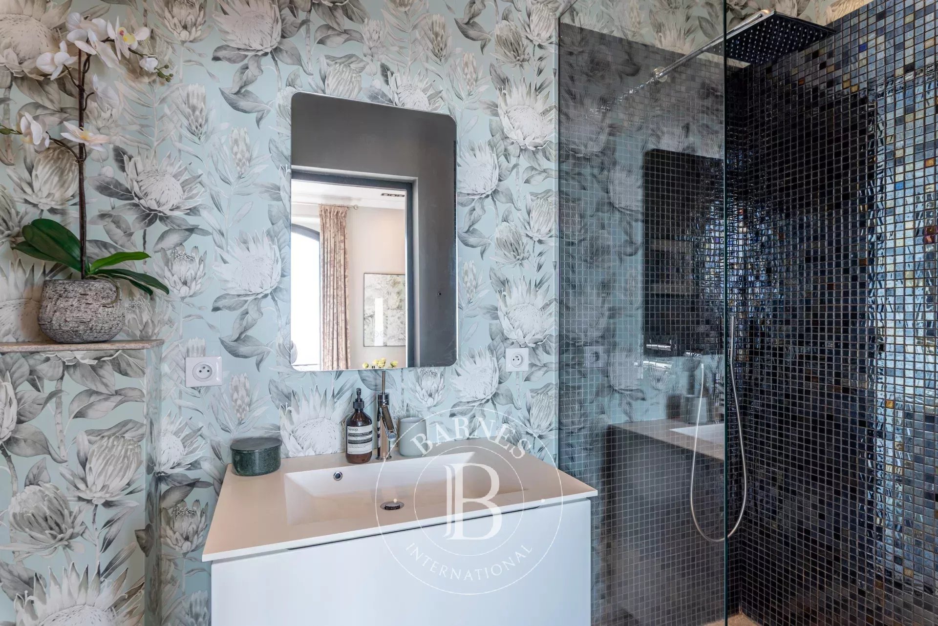 Villa Grasse - picture 14