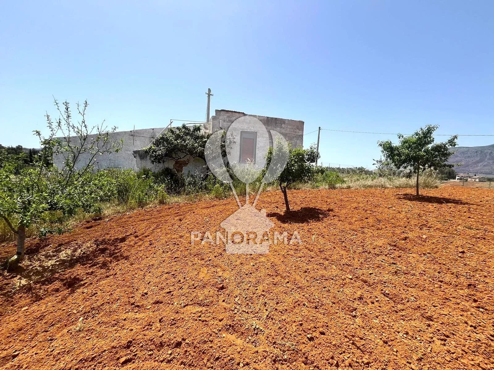 Vendita Terreno agricolo Alcamo