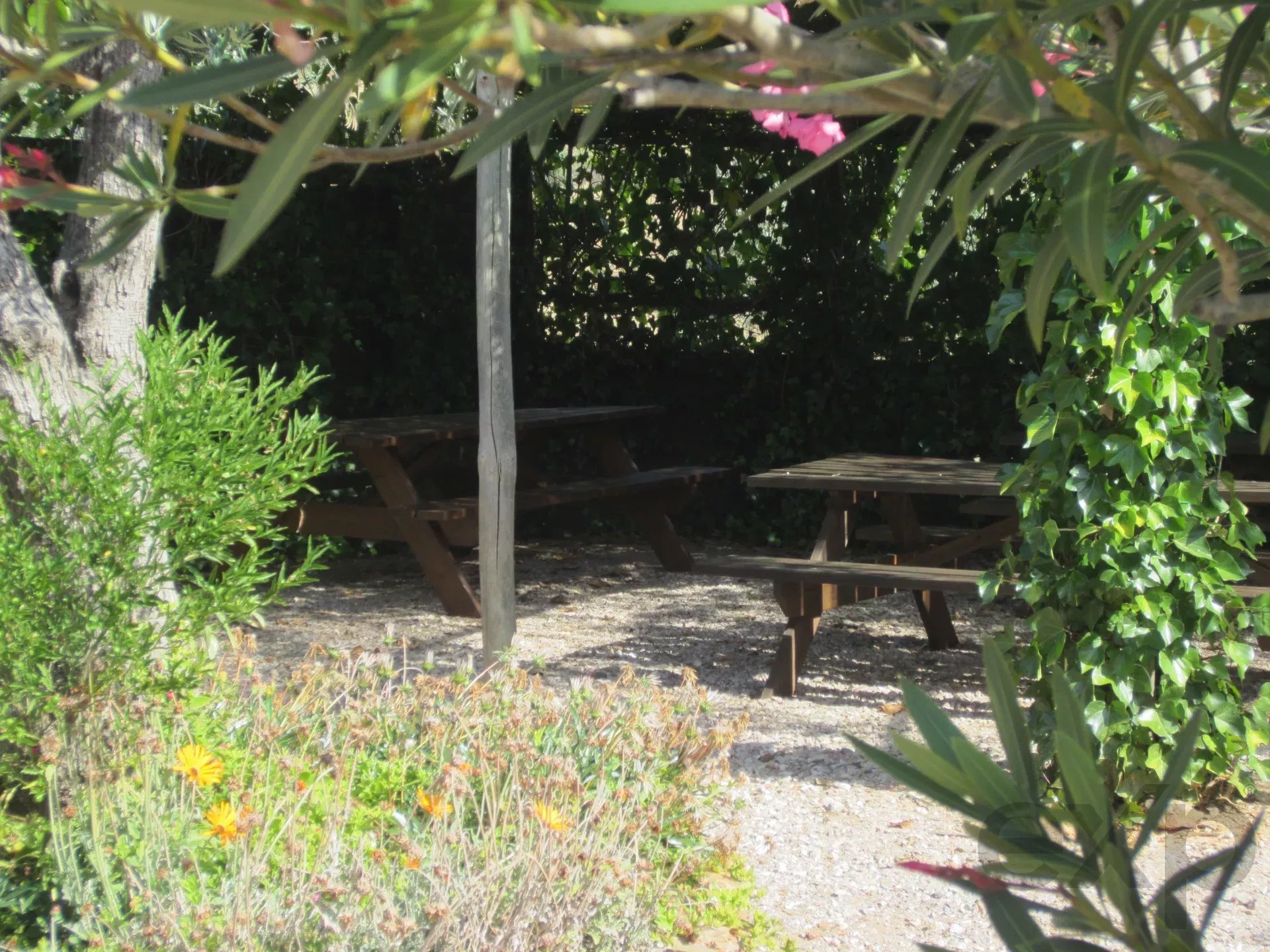 Herdade Cativante in Alentejo: A Tourist Investment with Immeasurable Potential 🌿✨ 86362095 image 20