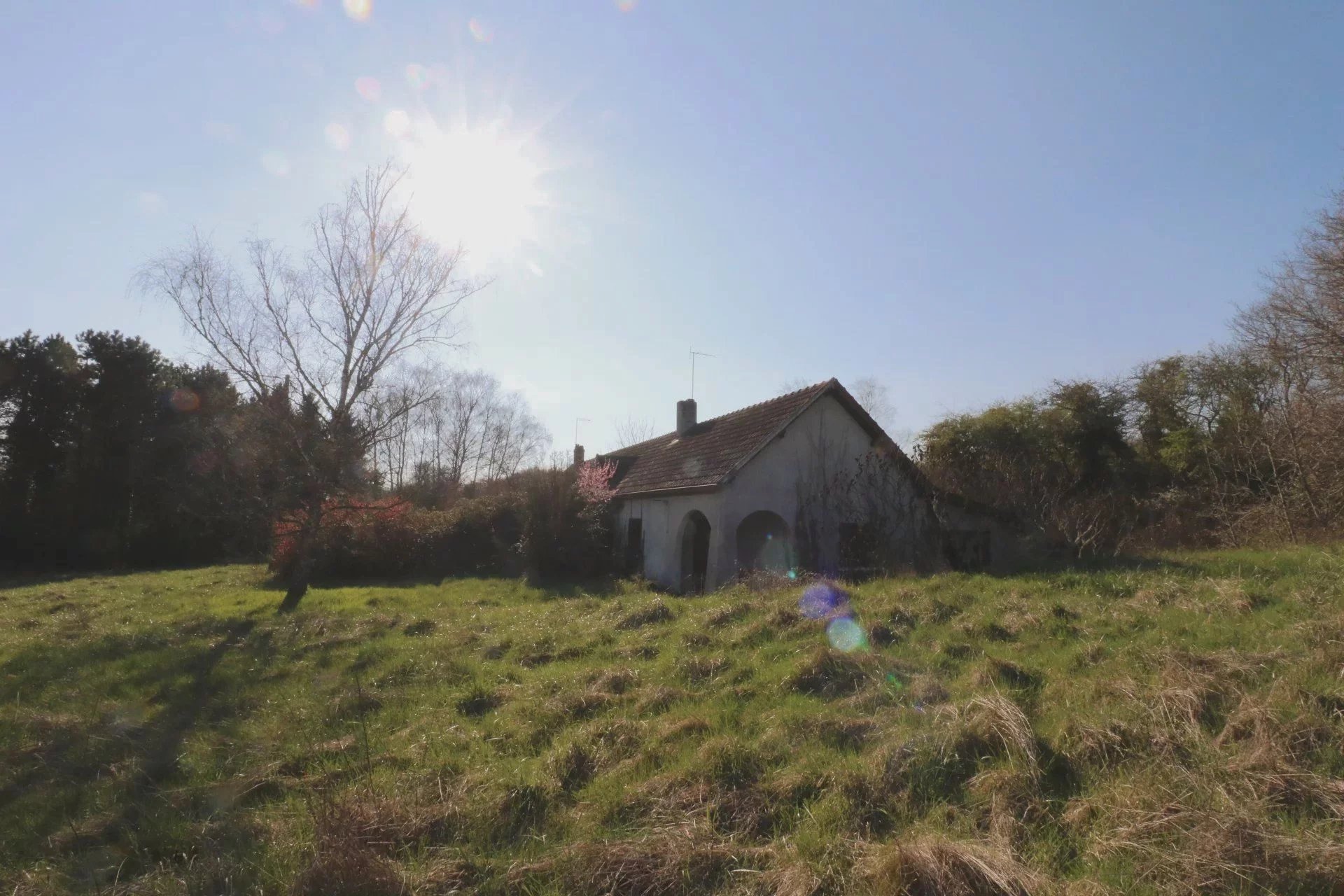 Agence immobilière de Conort Immobilier