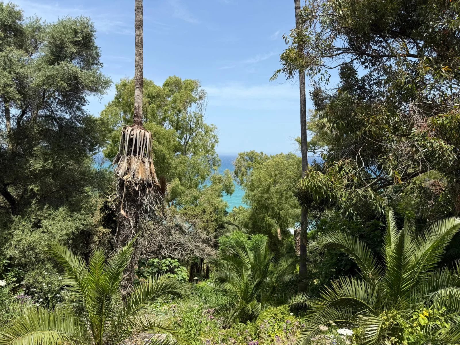 Exceptional estate to refurbish for sale in Tangier