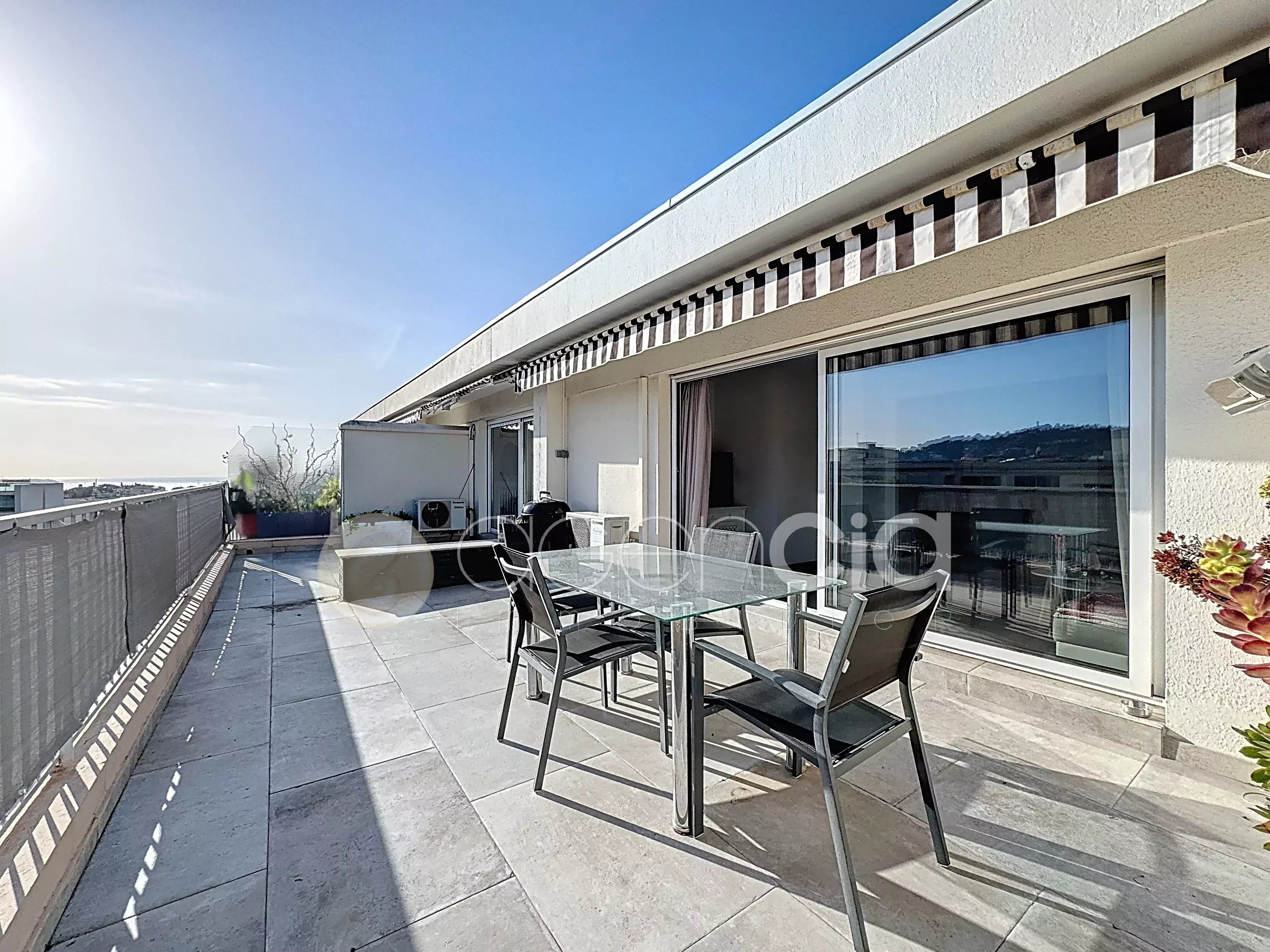 Agence immobilière de Agencia Saint-Pierre