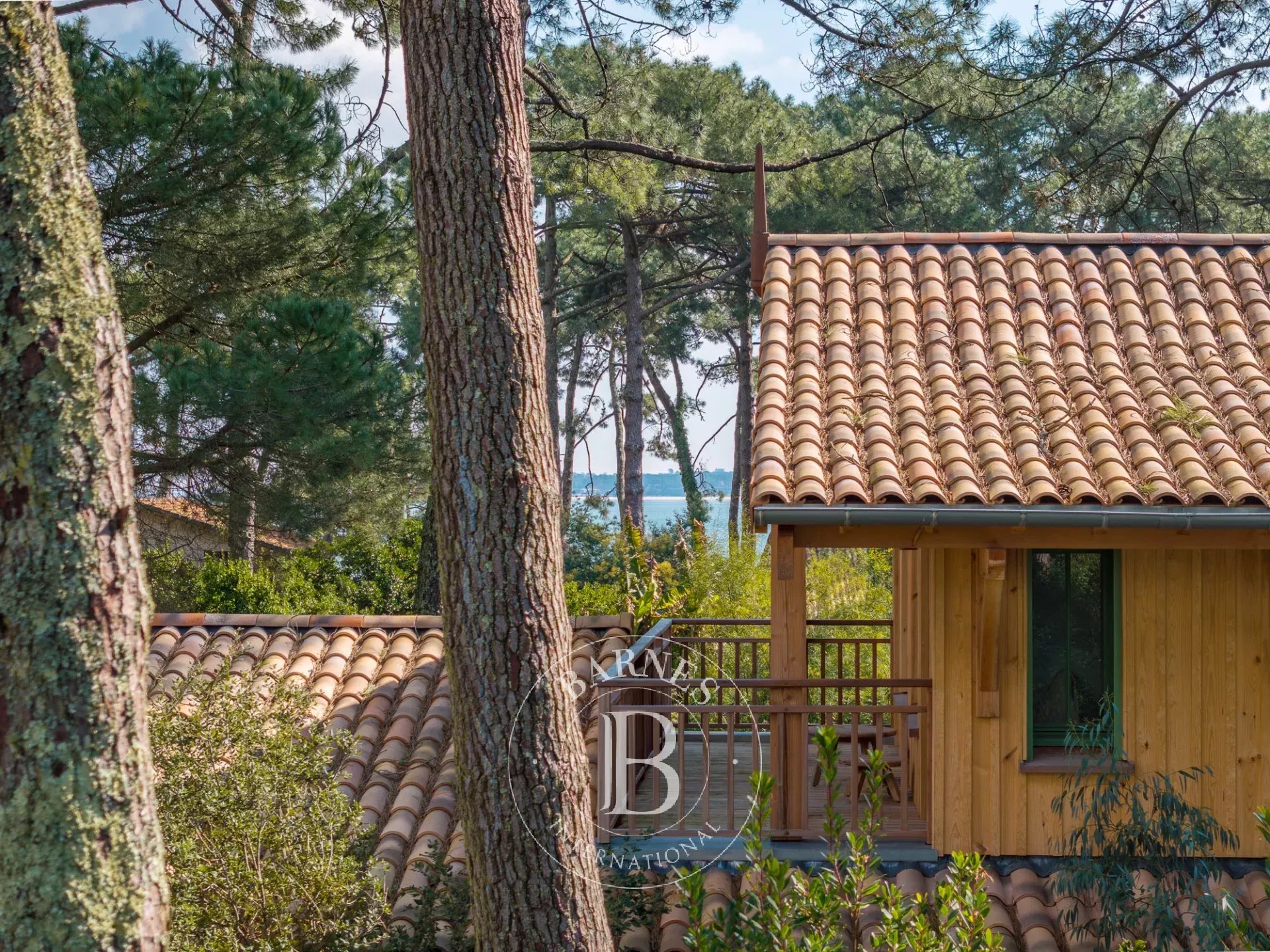 Villa Cap-Ferret  -  ref 85128604 (picture 1)