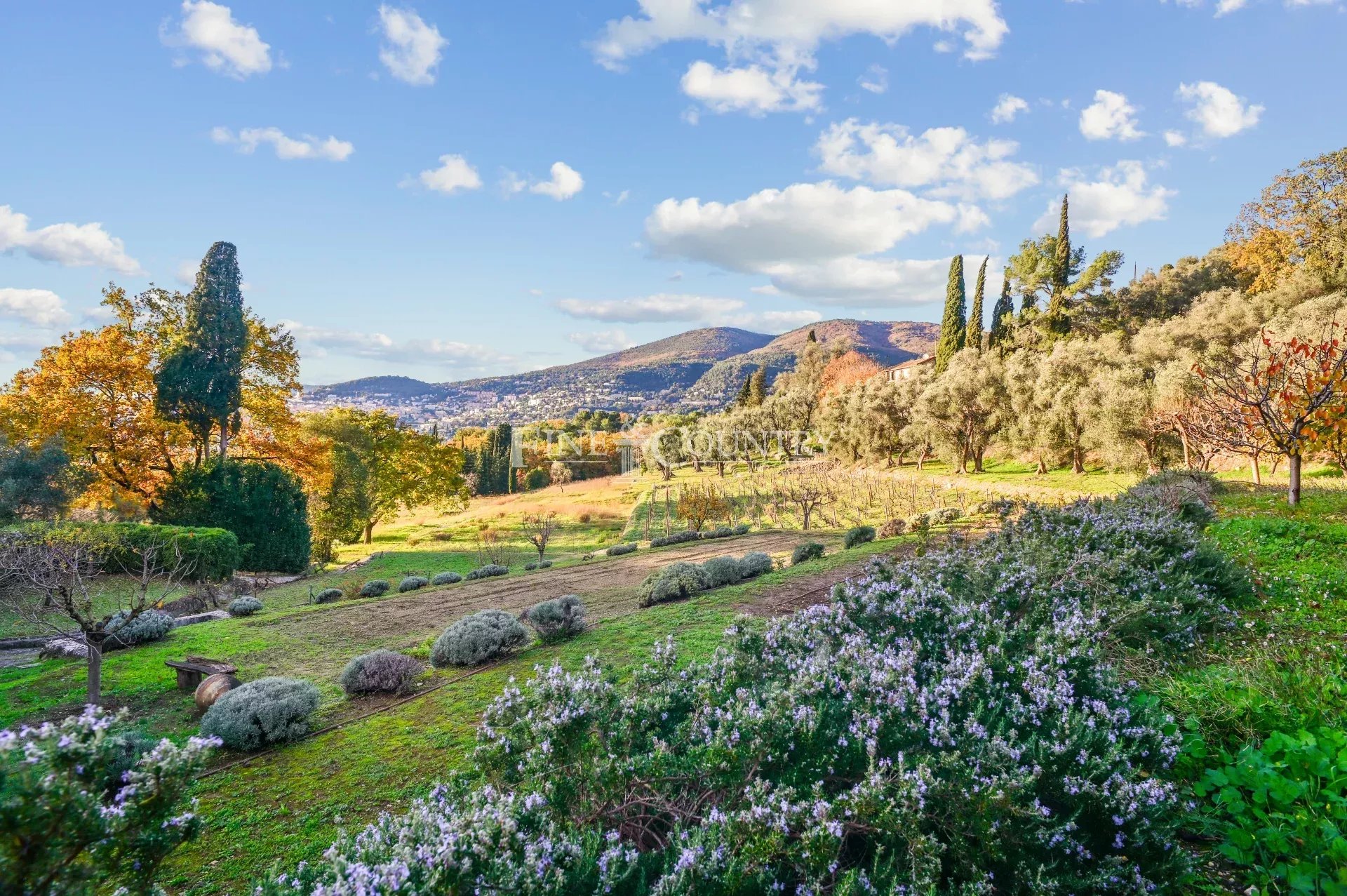 Photo of Bastide for sale in Grasse